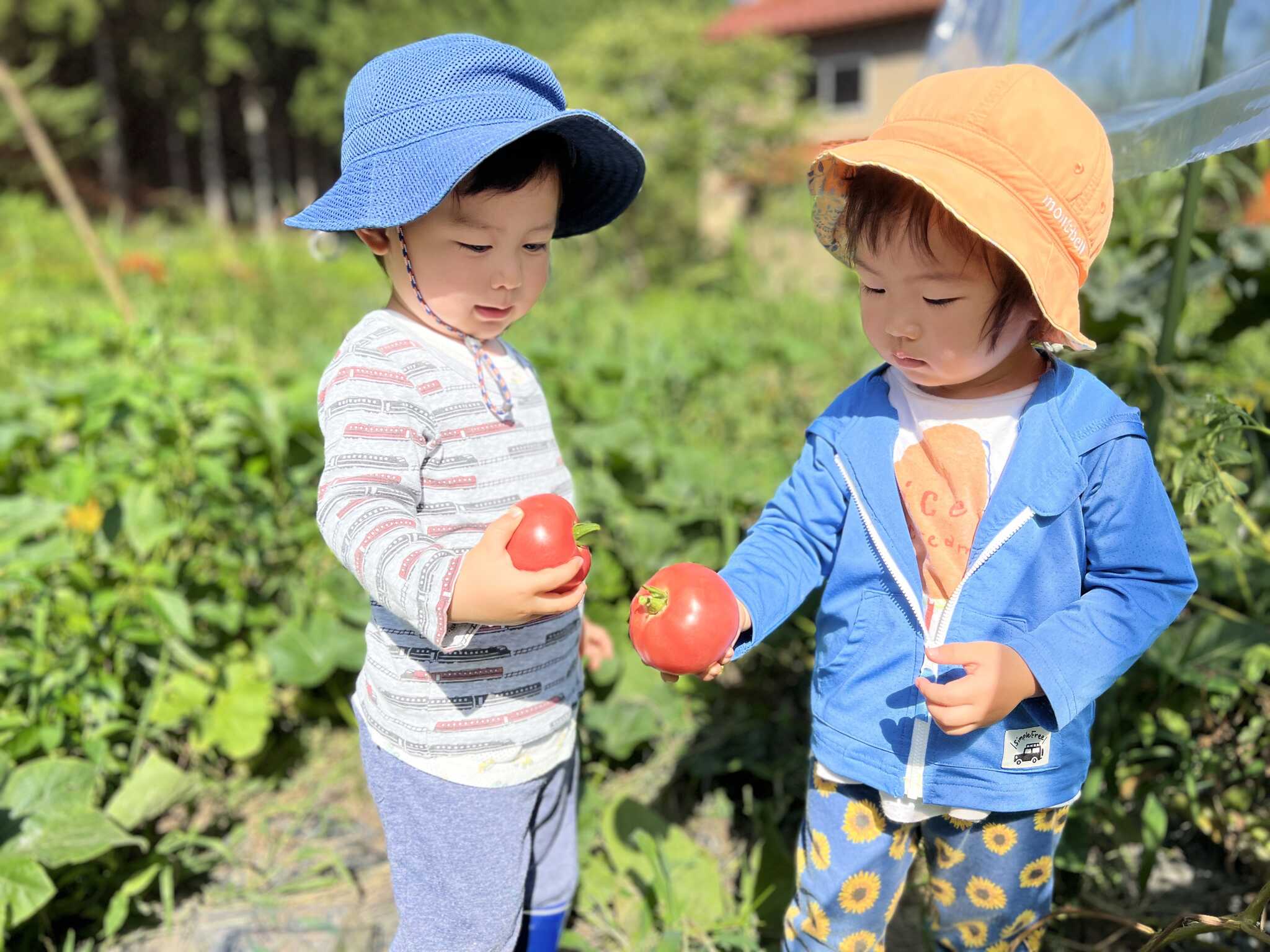 ゆうなぎ 1組だけの里山キャンプ場
