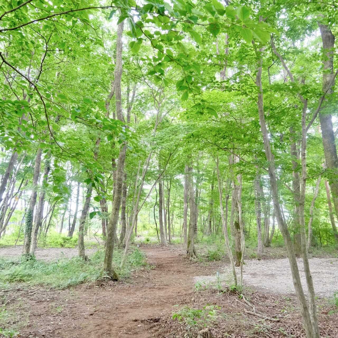 NAGOMI CAMP那須塩原