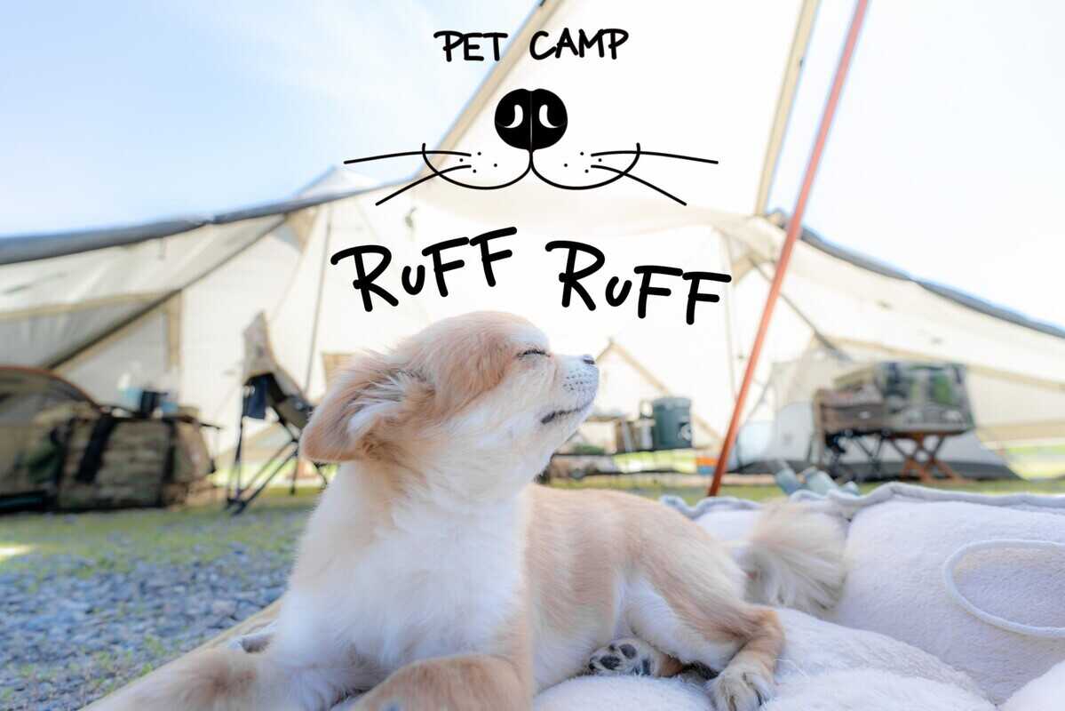 PET CAMP RUFF RUFF