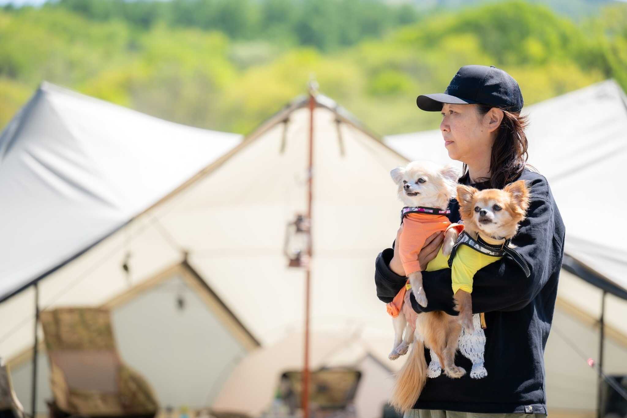 PET CAMP RUFF RUFFの写真 2枚目