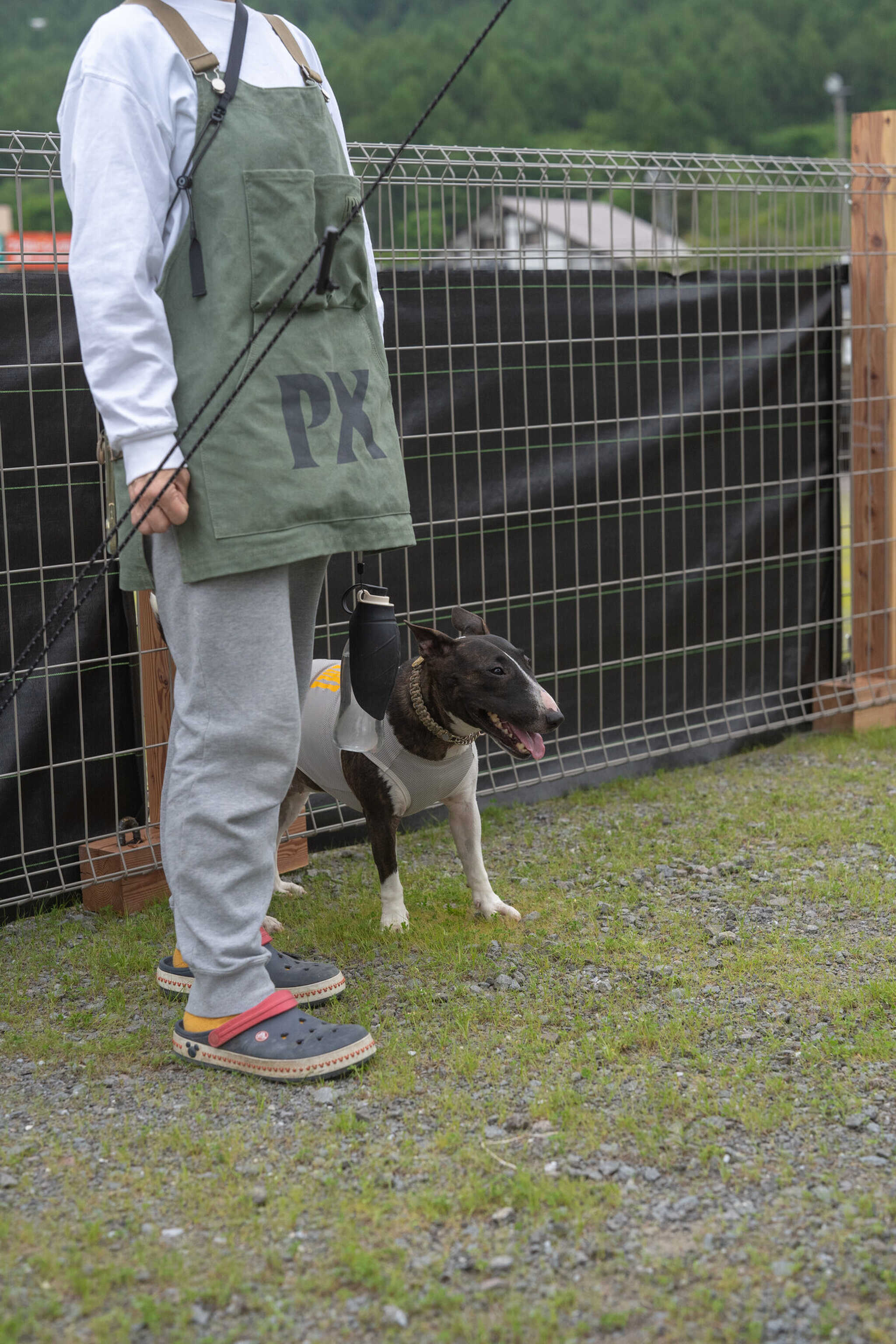PET CAMP RUFF RUFFの写真 5枚目