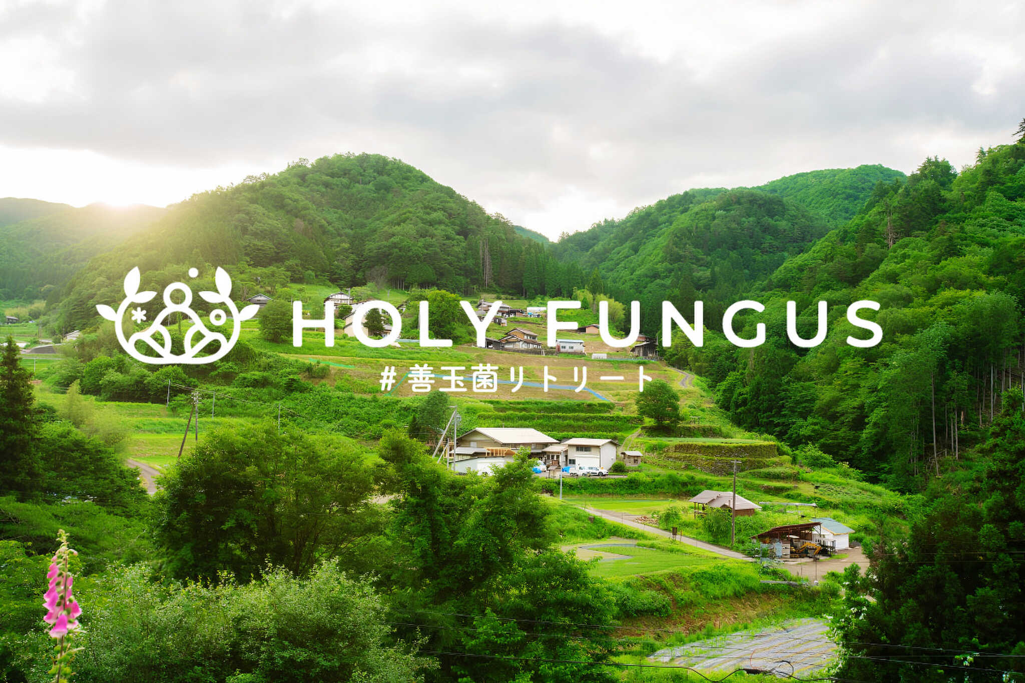 HOLY FUNGUS