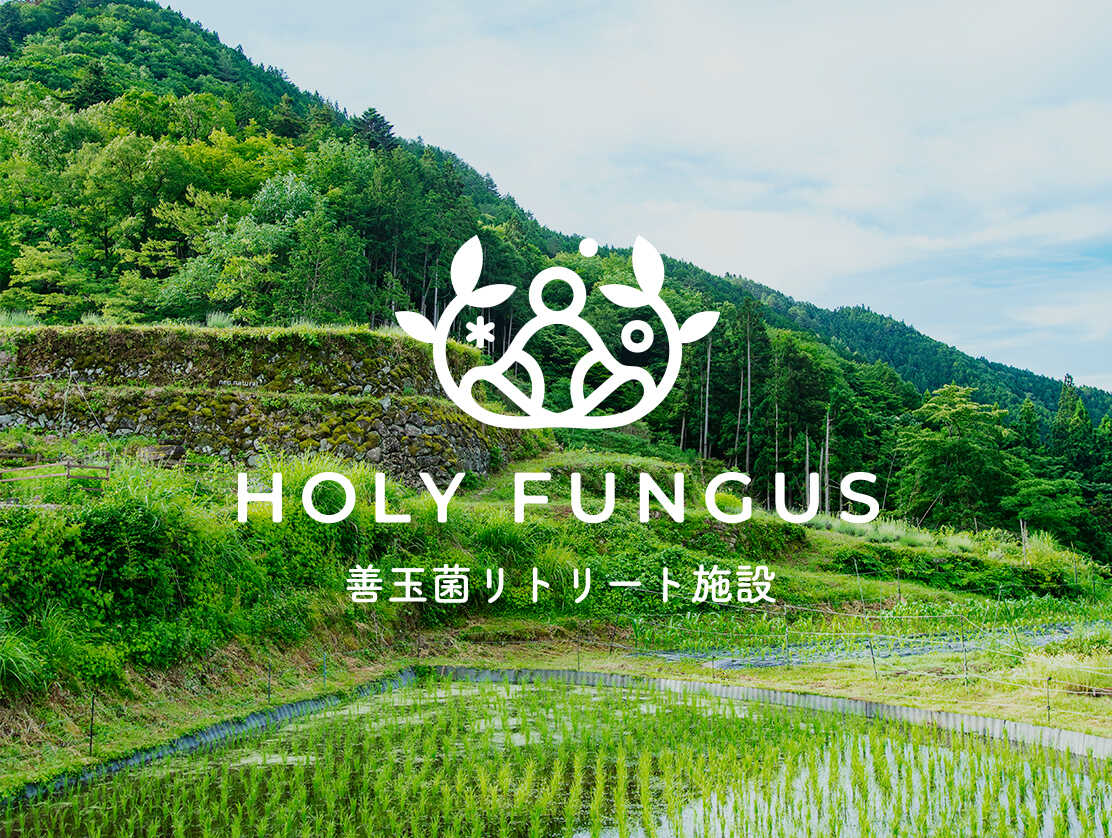 HOLY FUNGUS