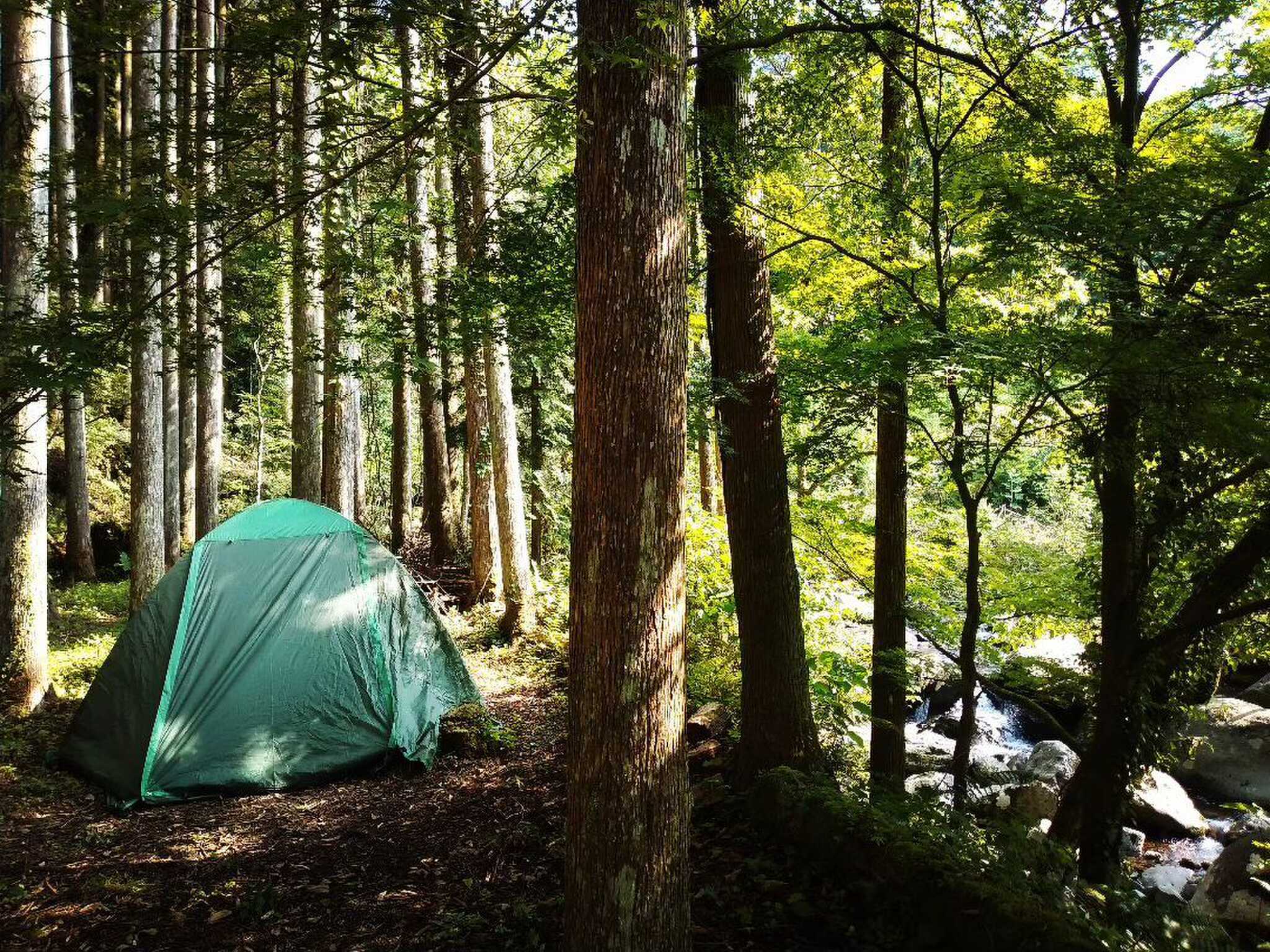 oono-campの写真 2枚目