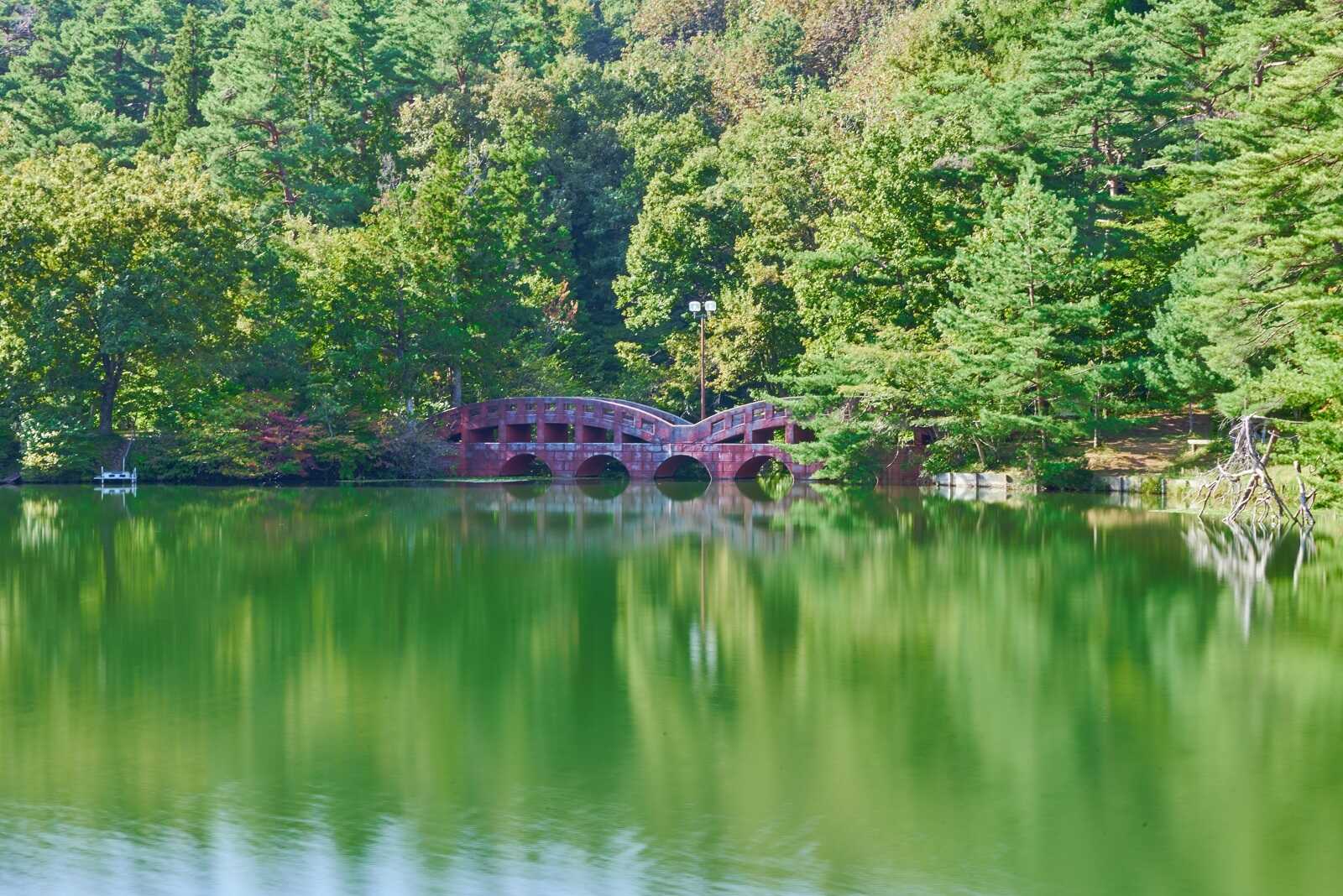 見附市大平森林公園の写真 2枚目