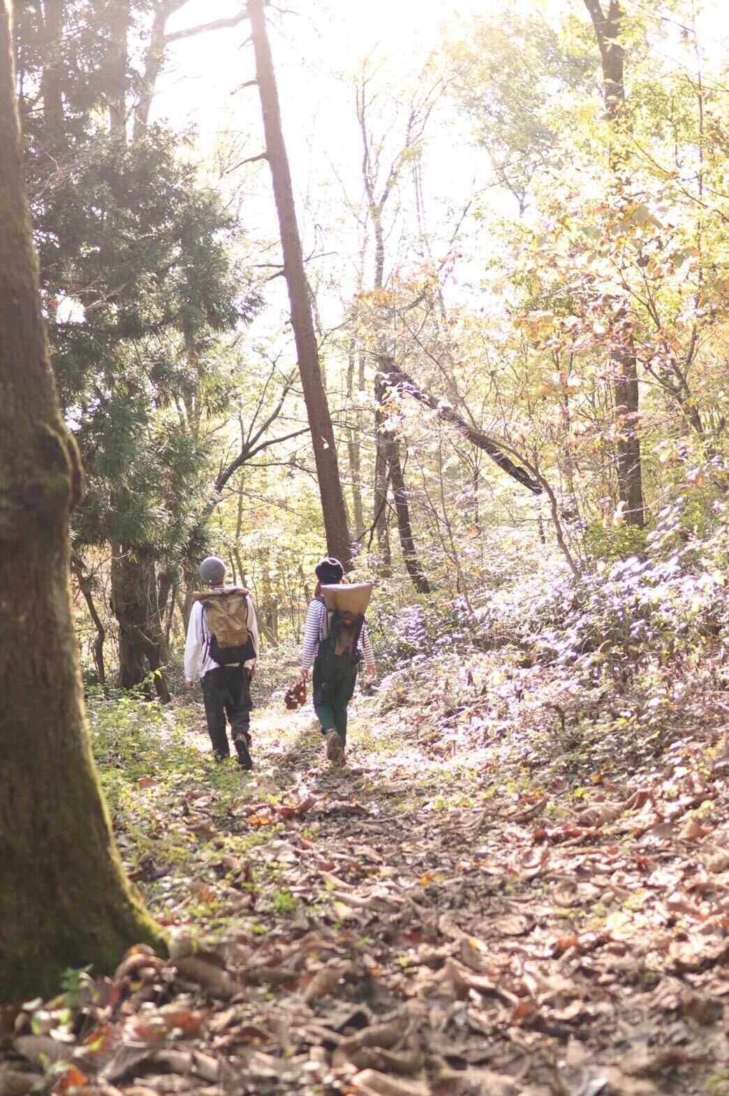 見附市大平森林公園の写真 5枚目