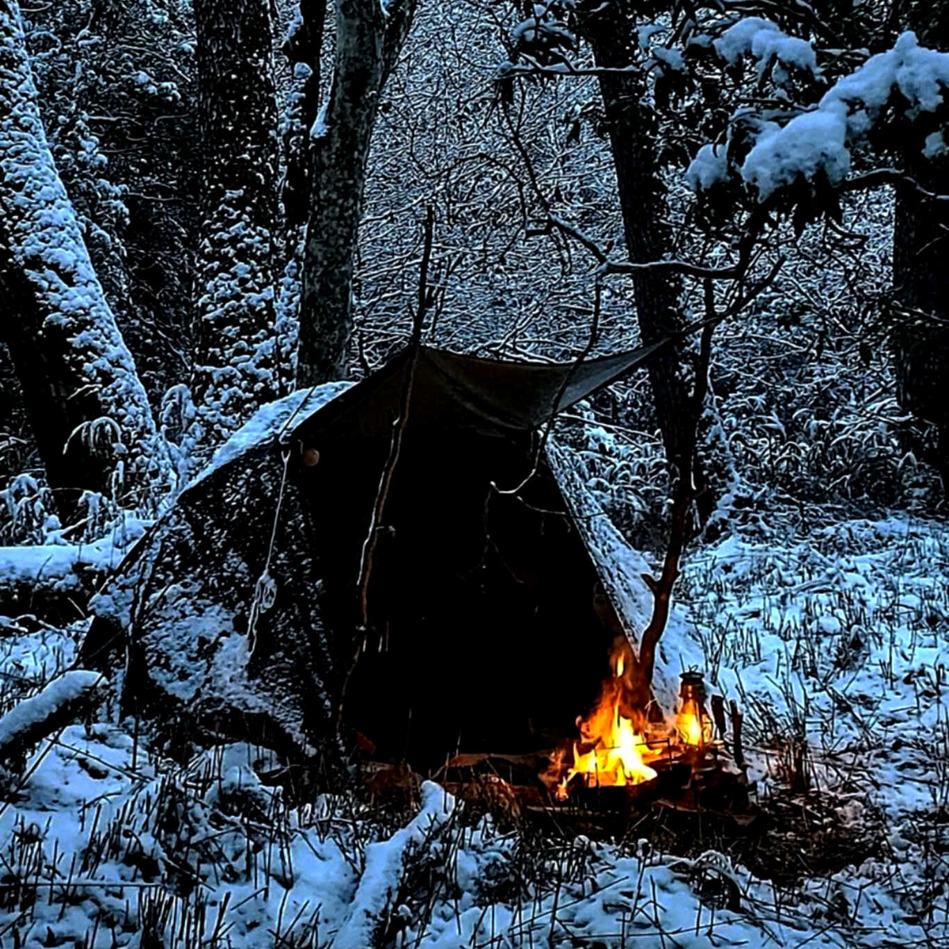 天空の森野営キャンプフィールドBushcraft HOKO photo 2