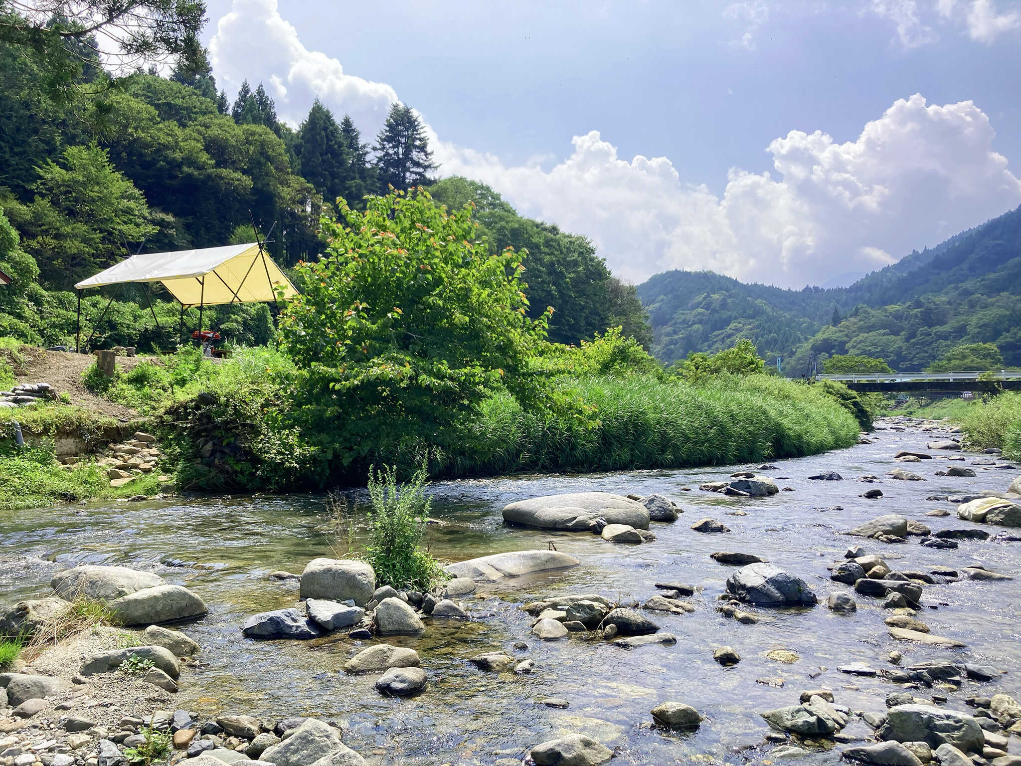 キャンプもBBQも!大人も子どもも!目の前の道志川が最高です