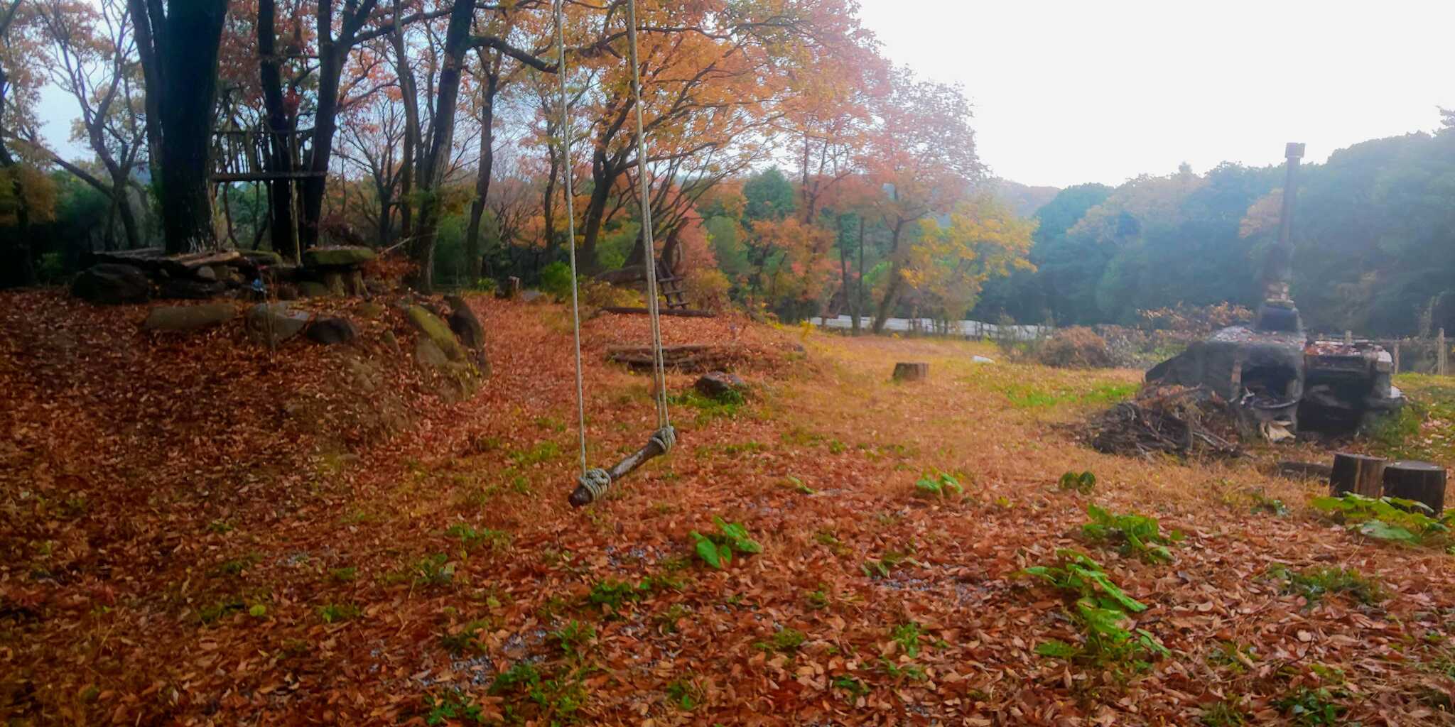 えころっじ杵築キャンプ場の写真 3枚目