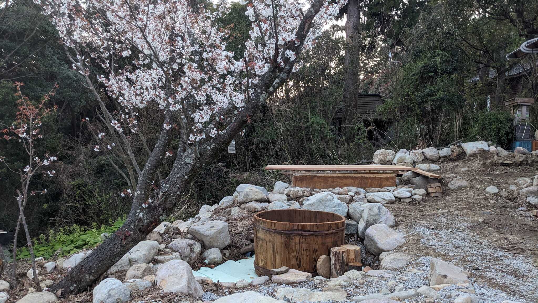 桜の木の下、おお樽の水風呂