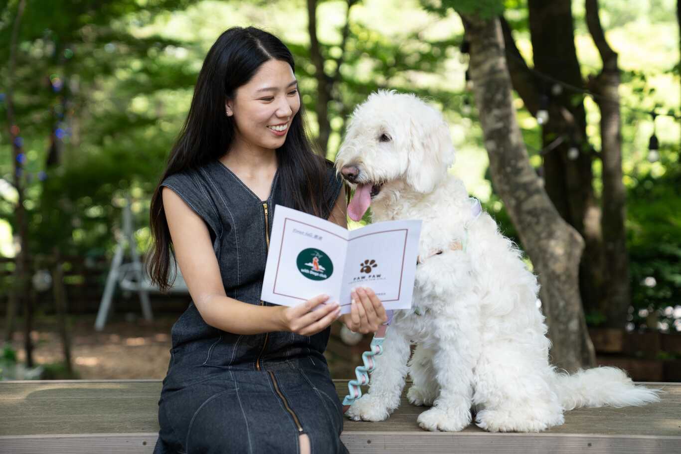 しろ星の森キャンプ場 フォレストヒルズ那須 photo 5