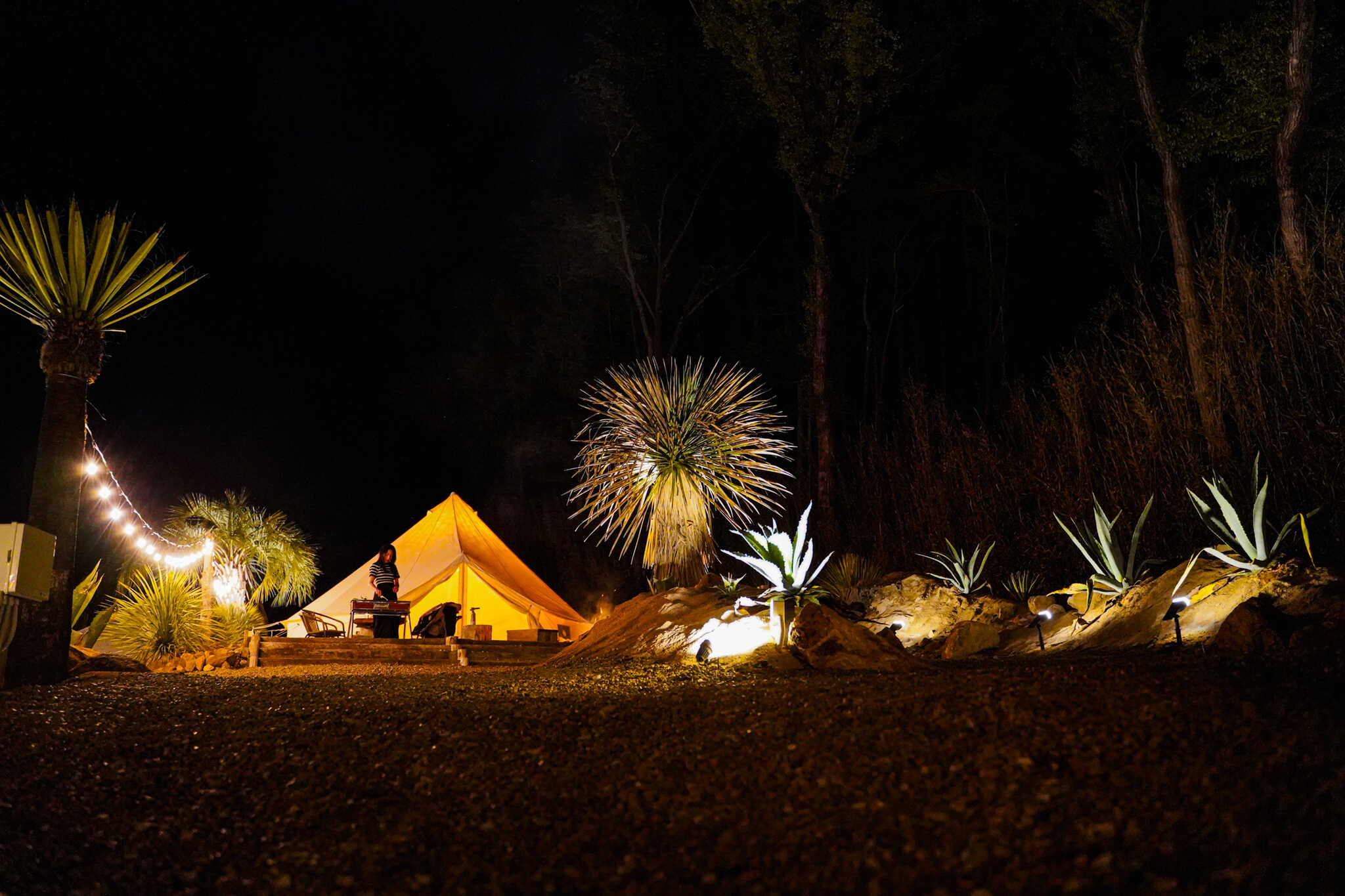 Cannabis Camp