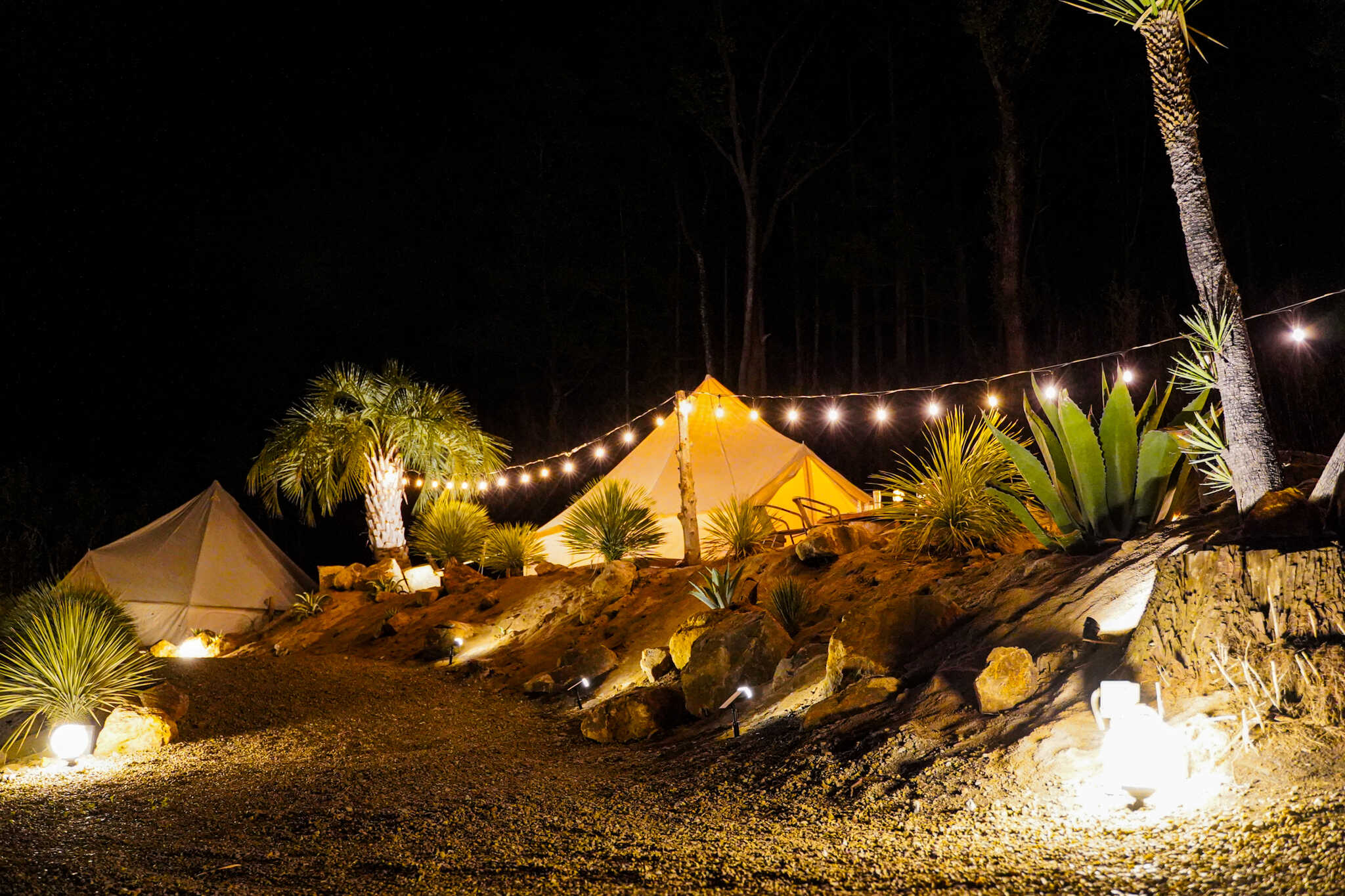 Cannabis Camp