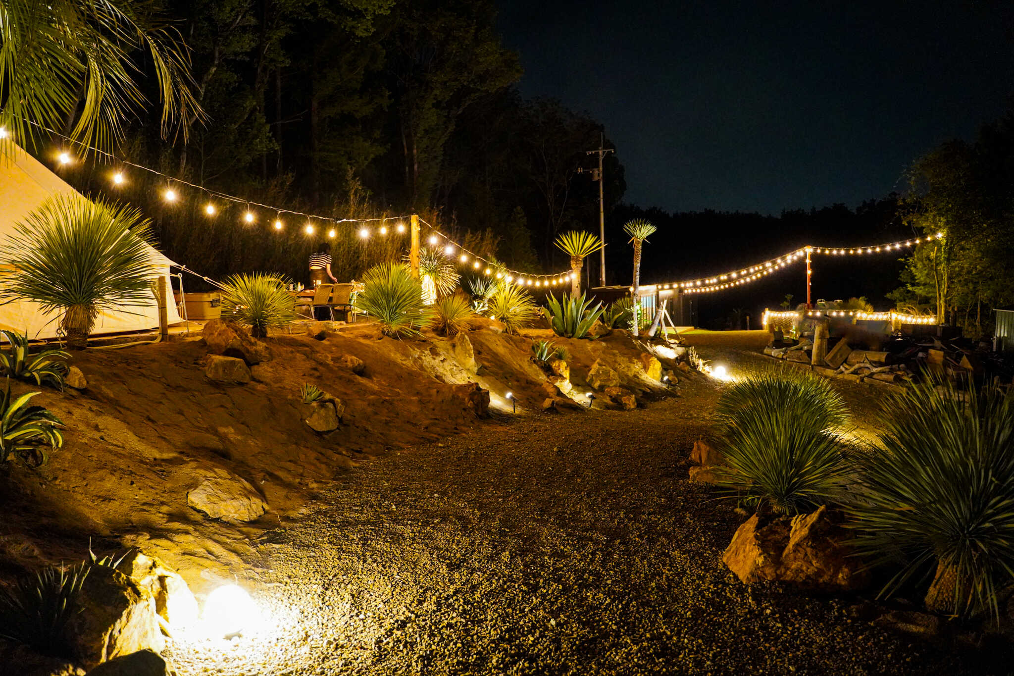Cannabis Camp