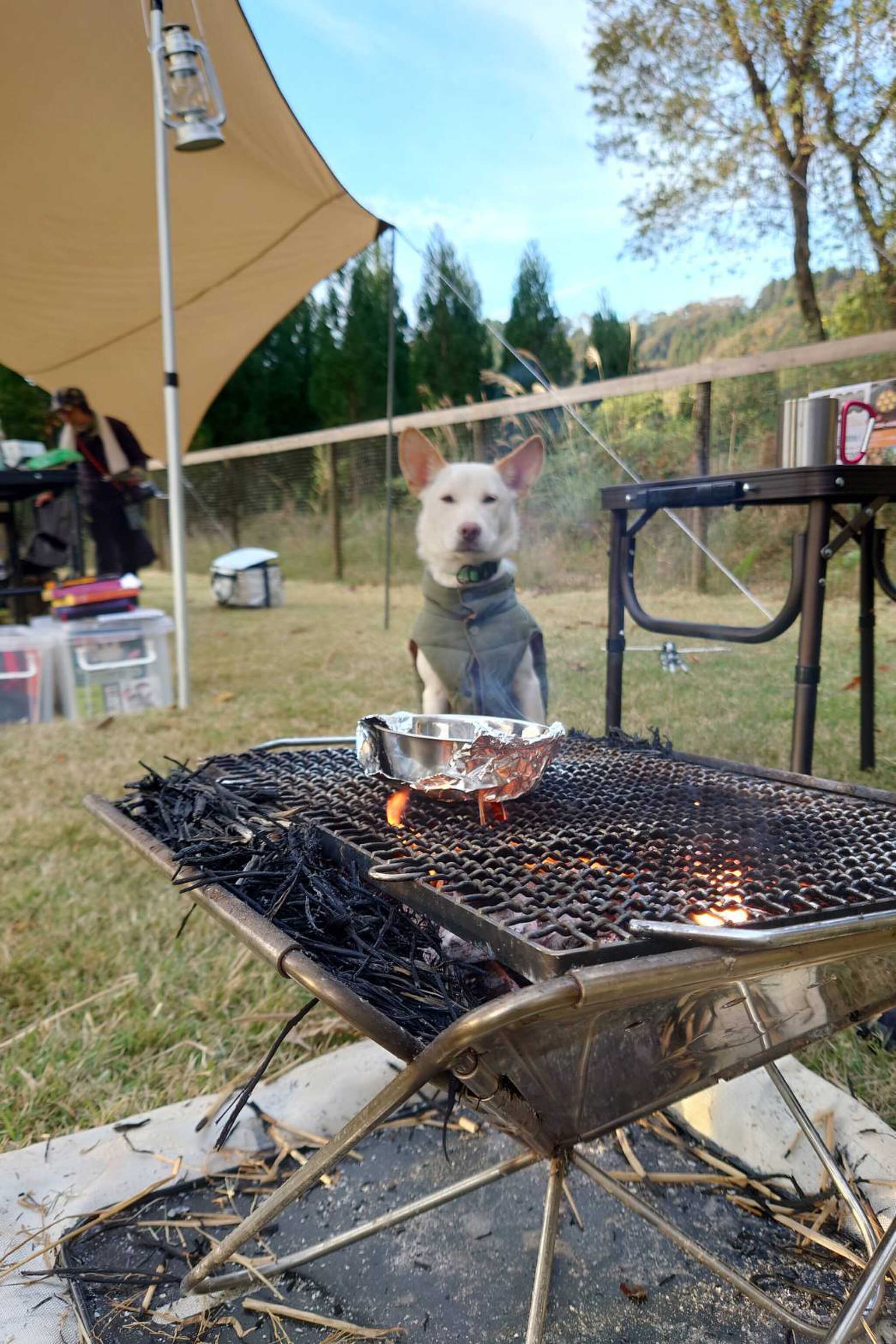 wanvino campsite