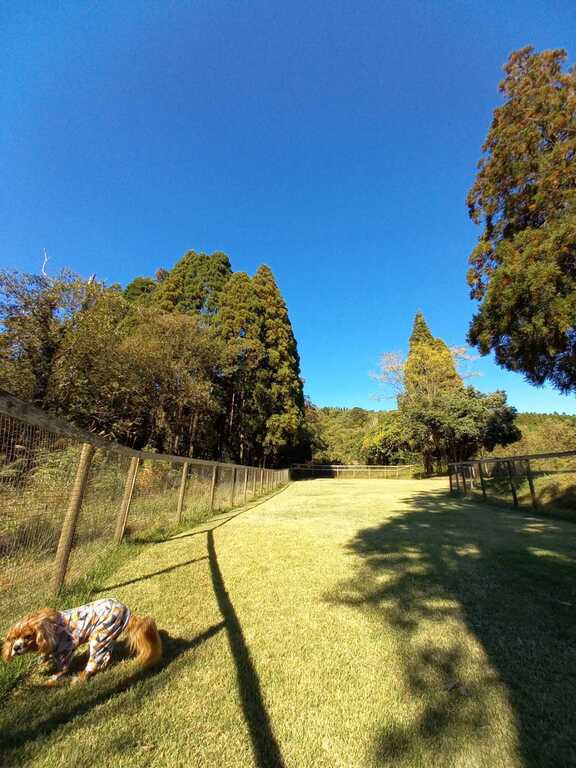 wanvino campsite photo 2
