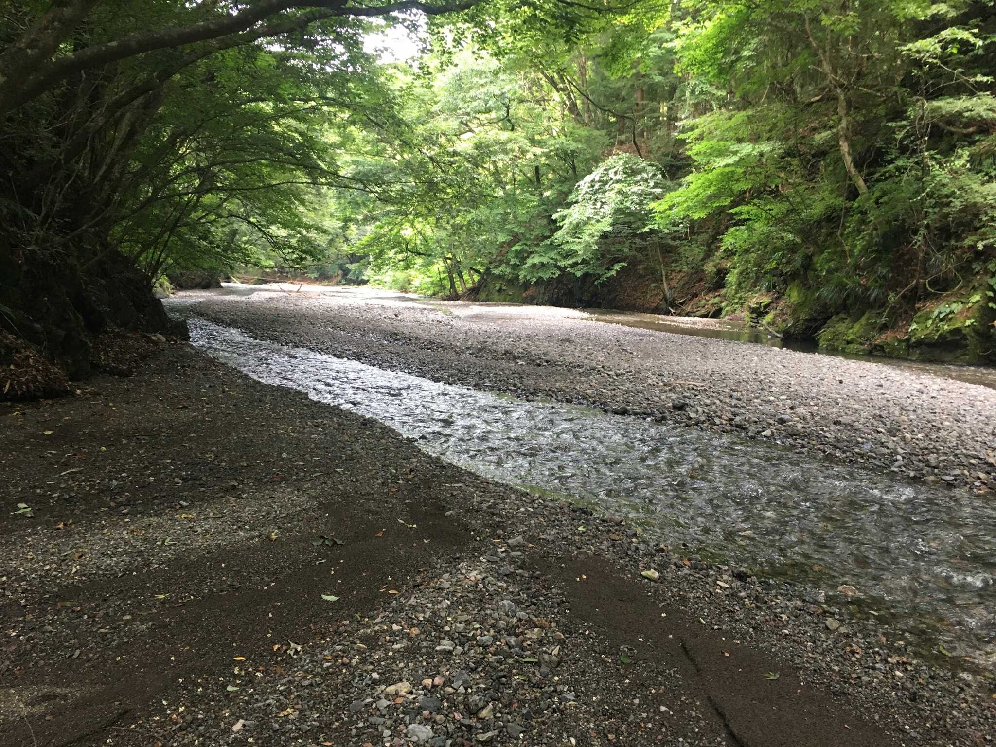 クロちゃん自由キャンプサイトの写真 3枚目