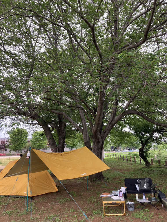 こもりぬキャンプ場の公式サイト画像