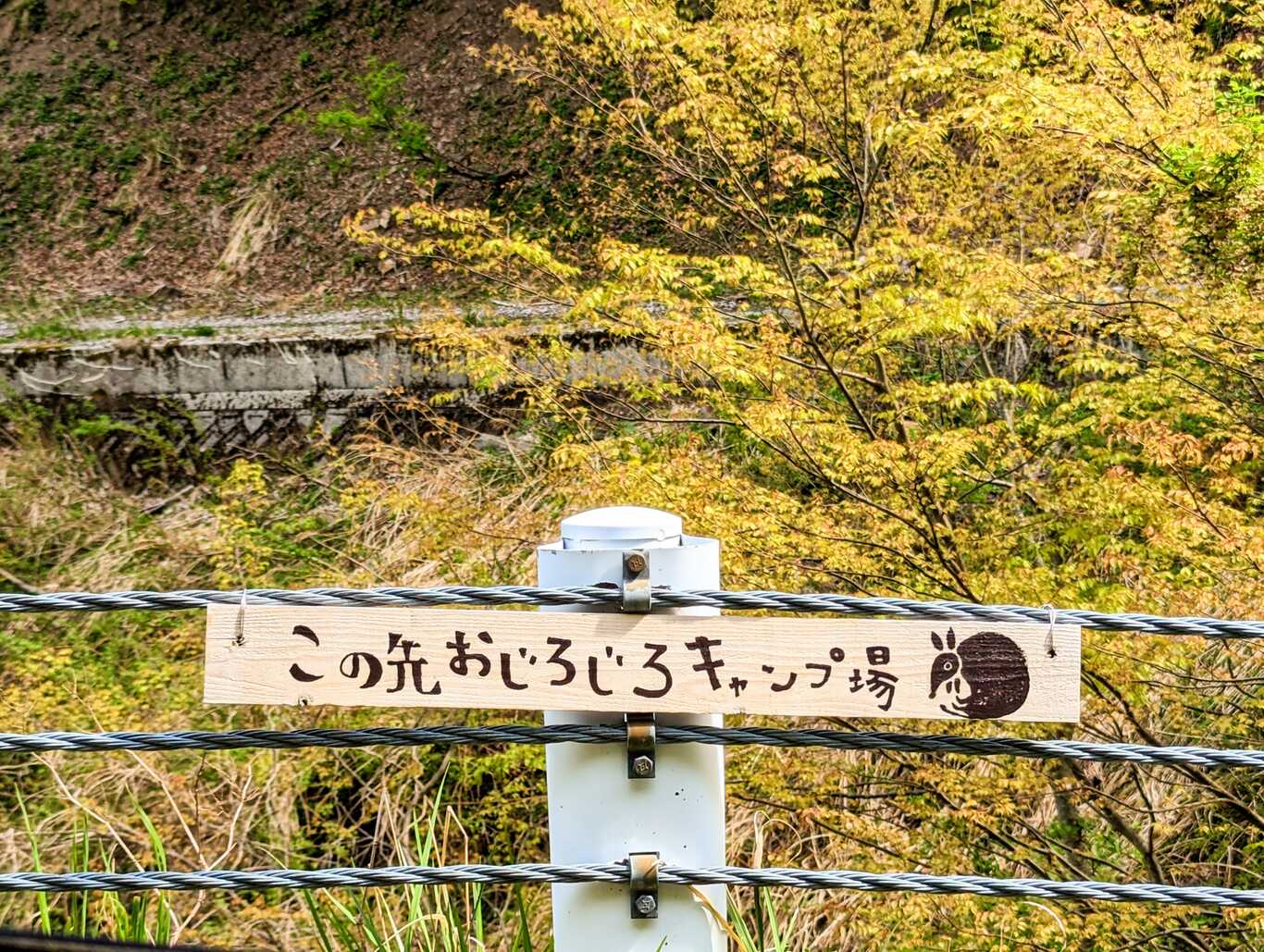 おじろじろキャンプ場 photo 4