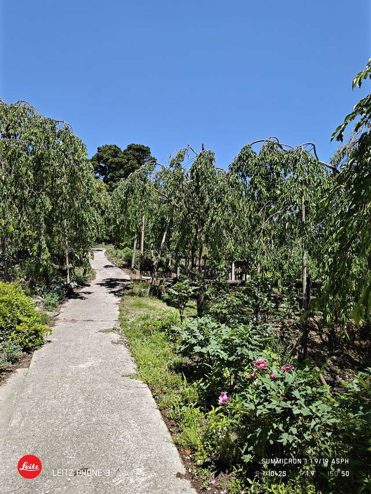 hanamiyama-base-camp