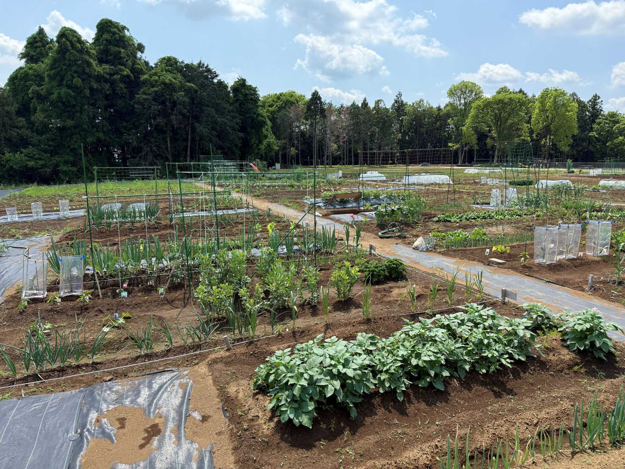 FARMER’S BASE TSUKUBA(ファーマーズベース つくば)