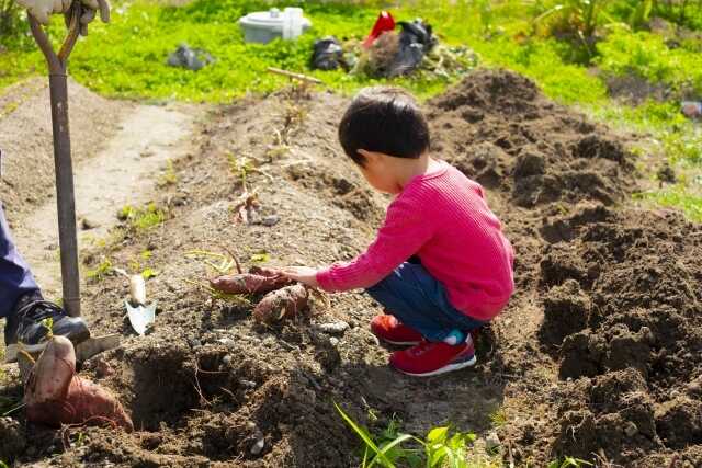 FARMER’S BASE TSUKUBA(ファーマーズベース つくば)の写真 3枚目