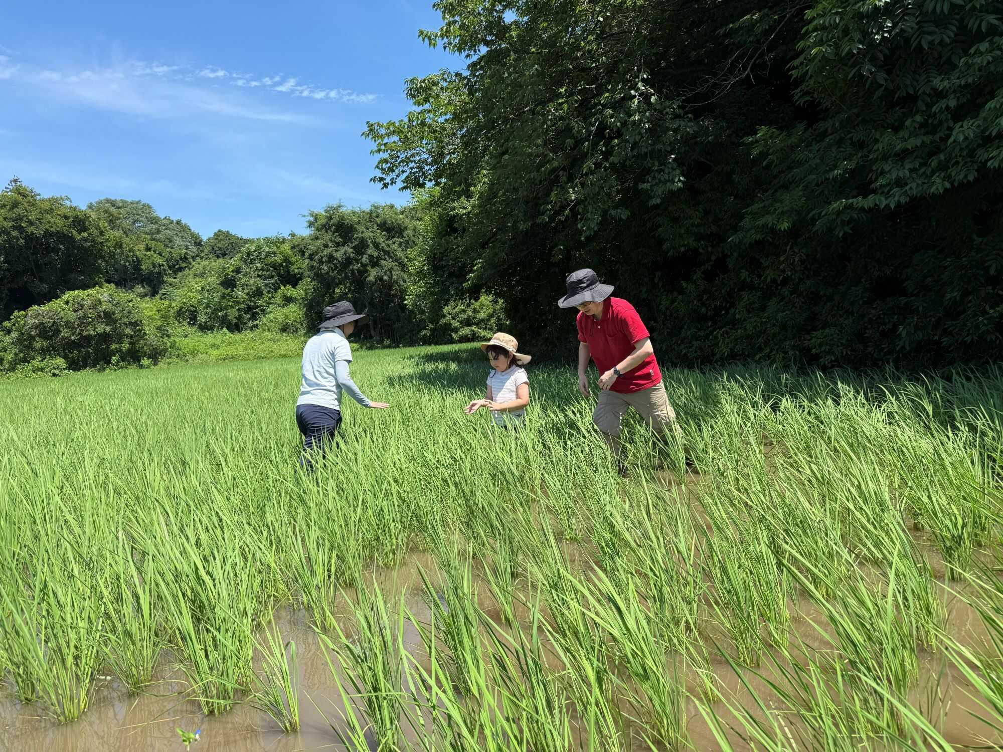 FARMER’S BASE TSUKUBA(ファーマーズベース つくば)の写真 5枚目