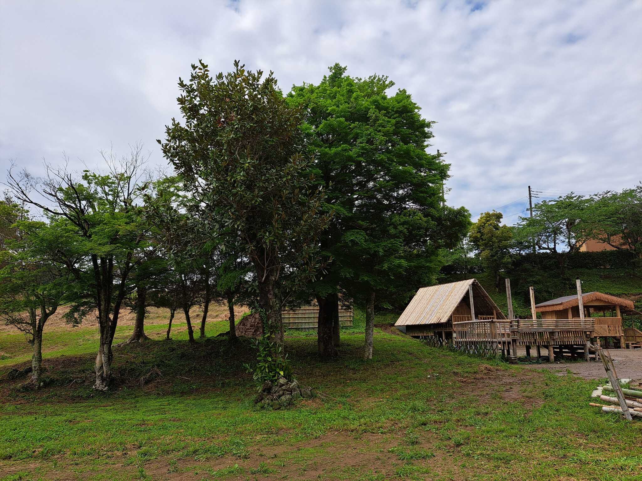 Bamboo Camp Site 『いすみ源氏ぼたるの里』の写真 1枚目