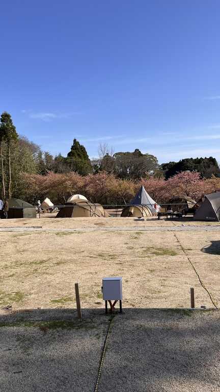ジビエと桃源郷の森キャンプ場 photo 2