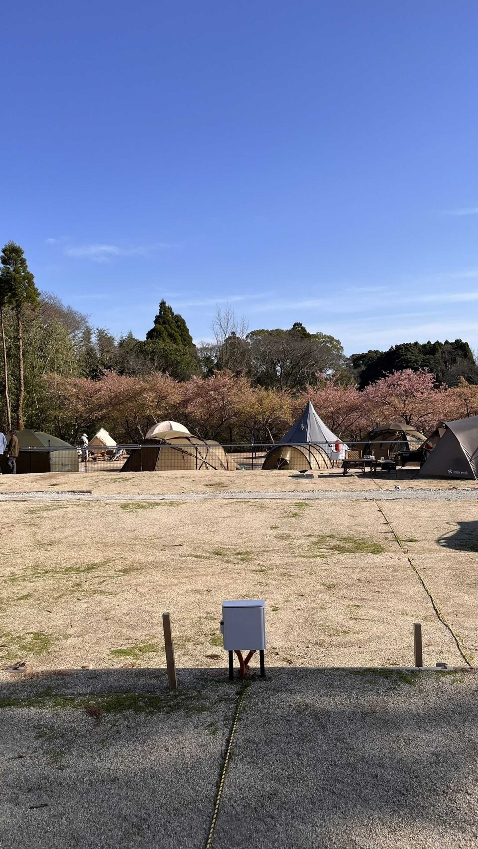 【R6/10月閉鎖 】ジビエと桃源郷の森キャンプ場