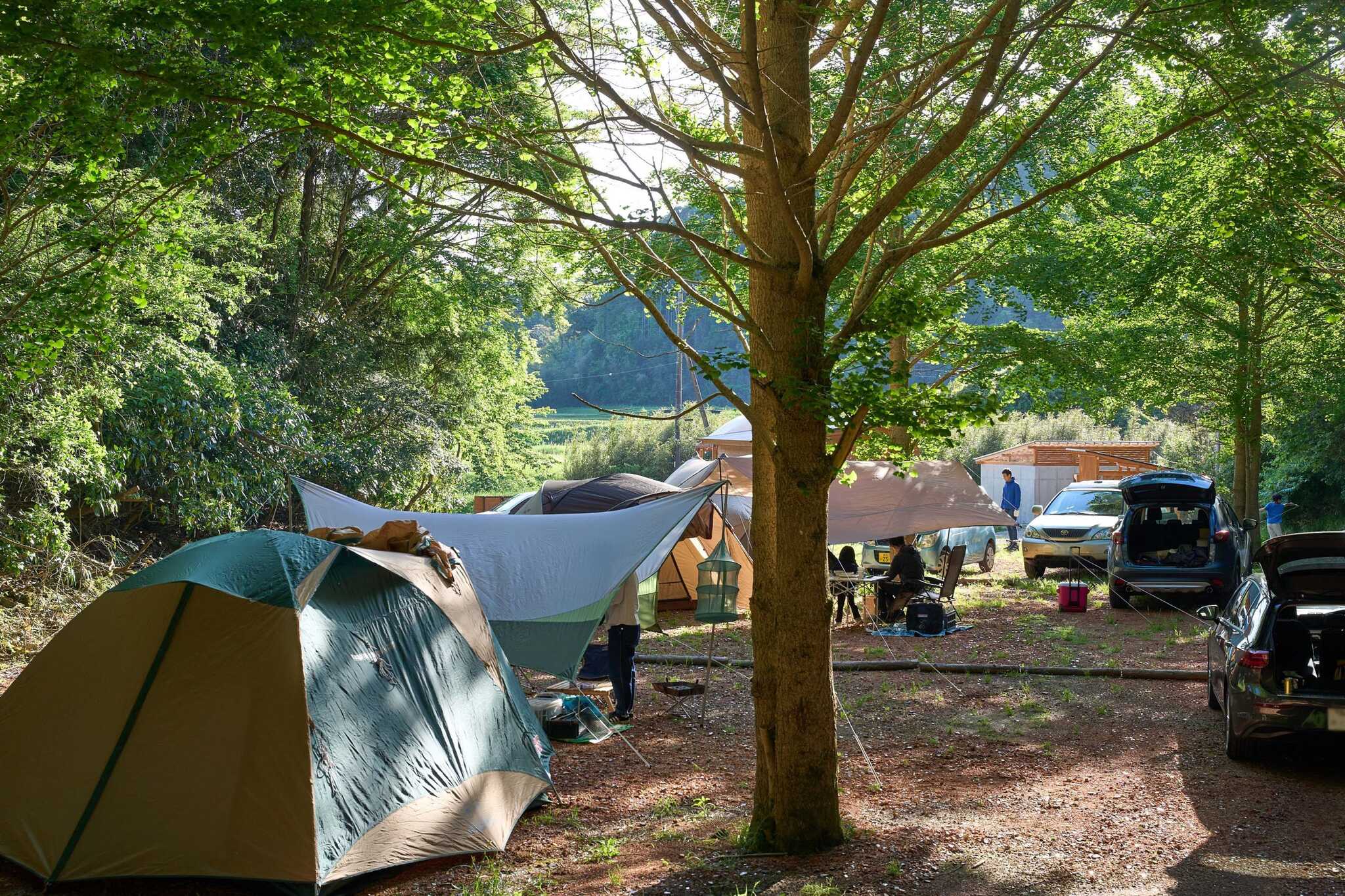 feelnature campbase