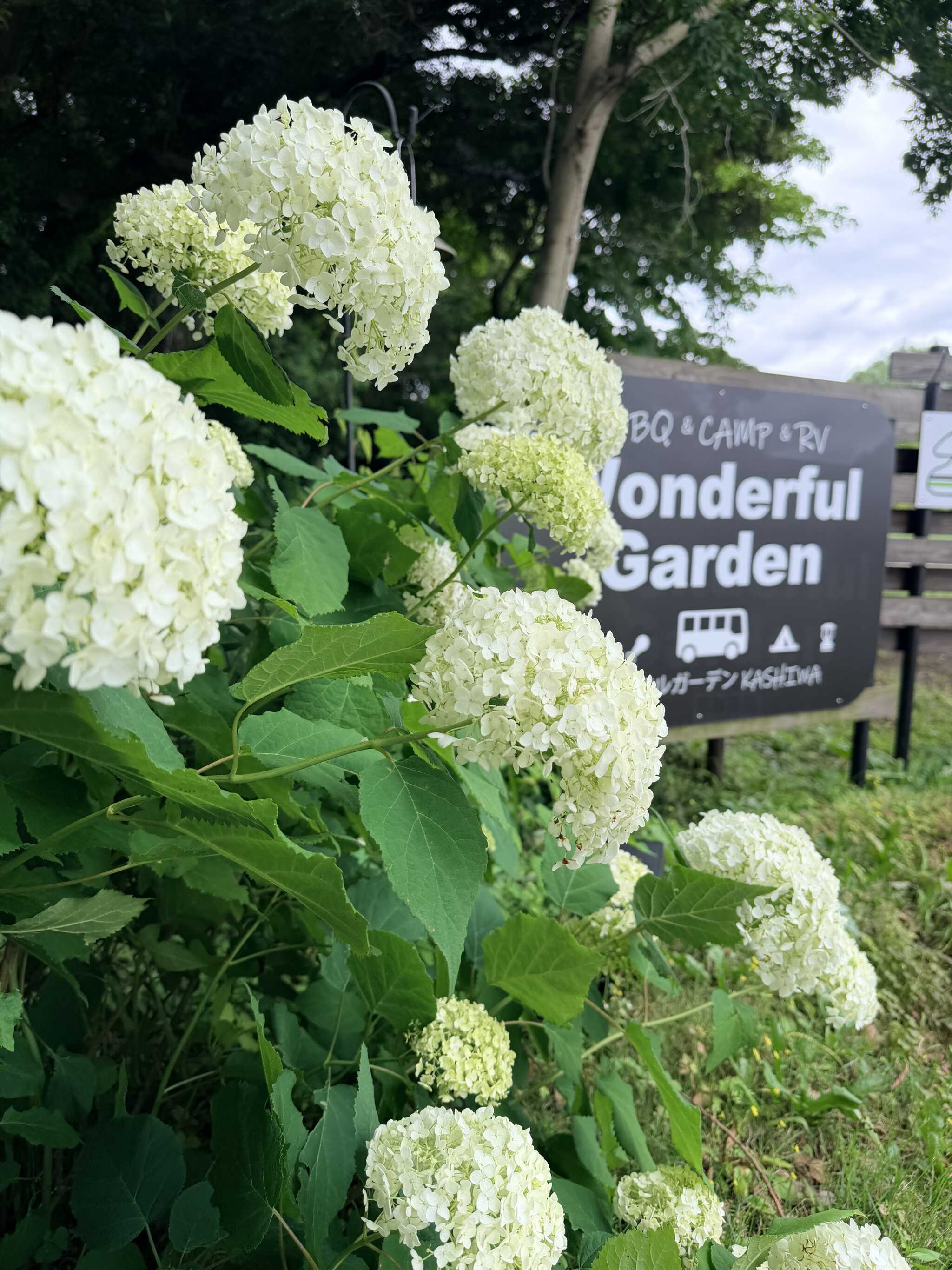 Wonderful Gardenオートキャンプ場の写真 1枚目