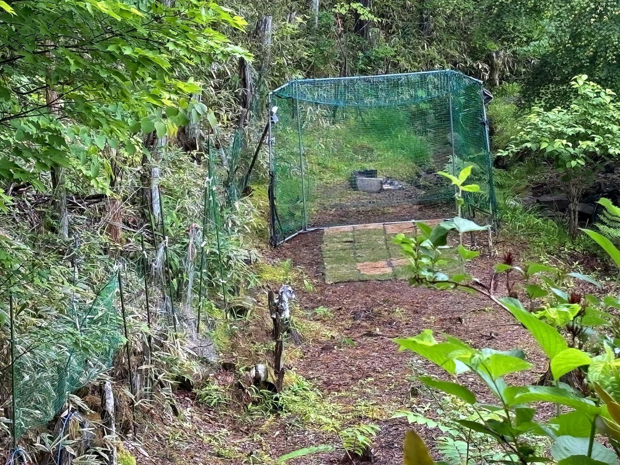 プライベートキャンプ場 リノア白川町の写真 4枚目