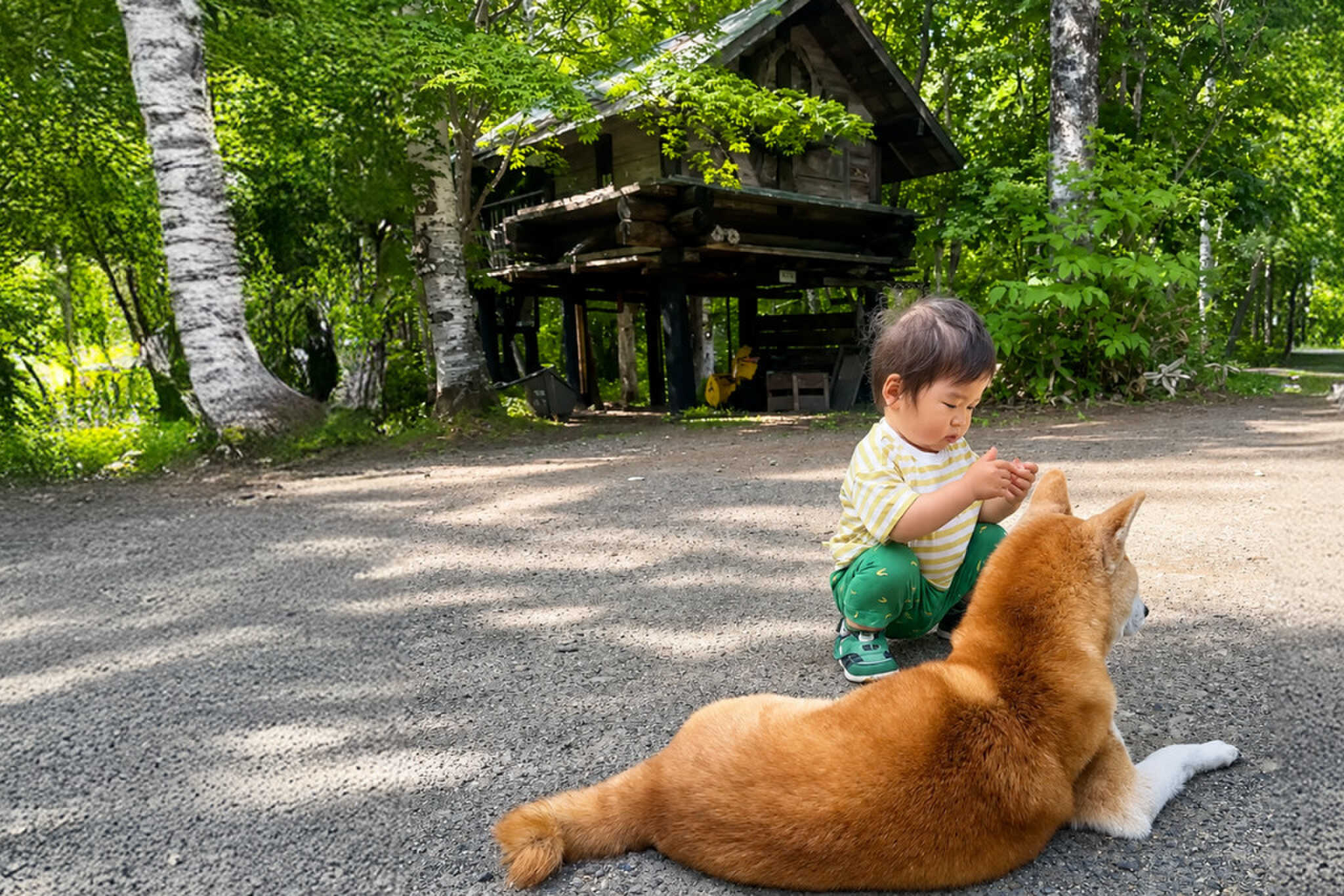 遊び小屋コニファー