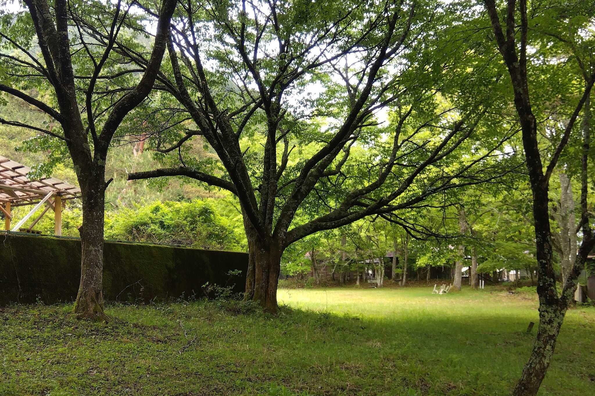 桝源フォレスト・イン洞川キャンプ場の写真 3枚目