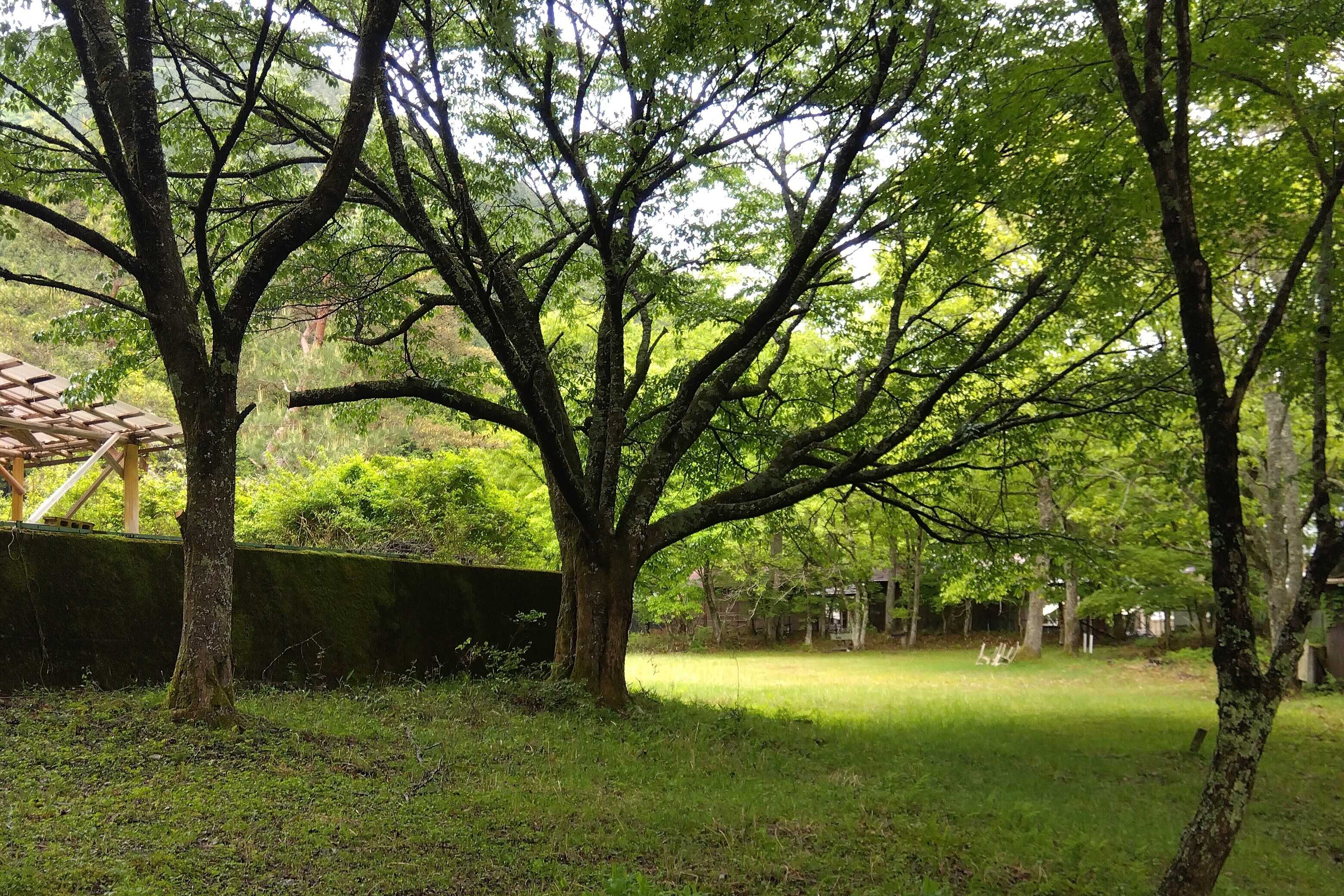 桝源フォレスト・イン洞川キャンプ場の写真 3枚目