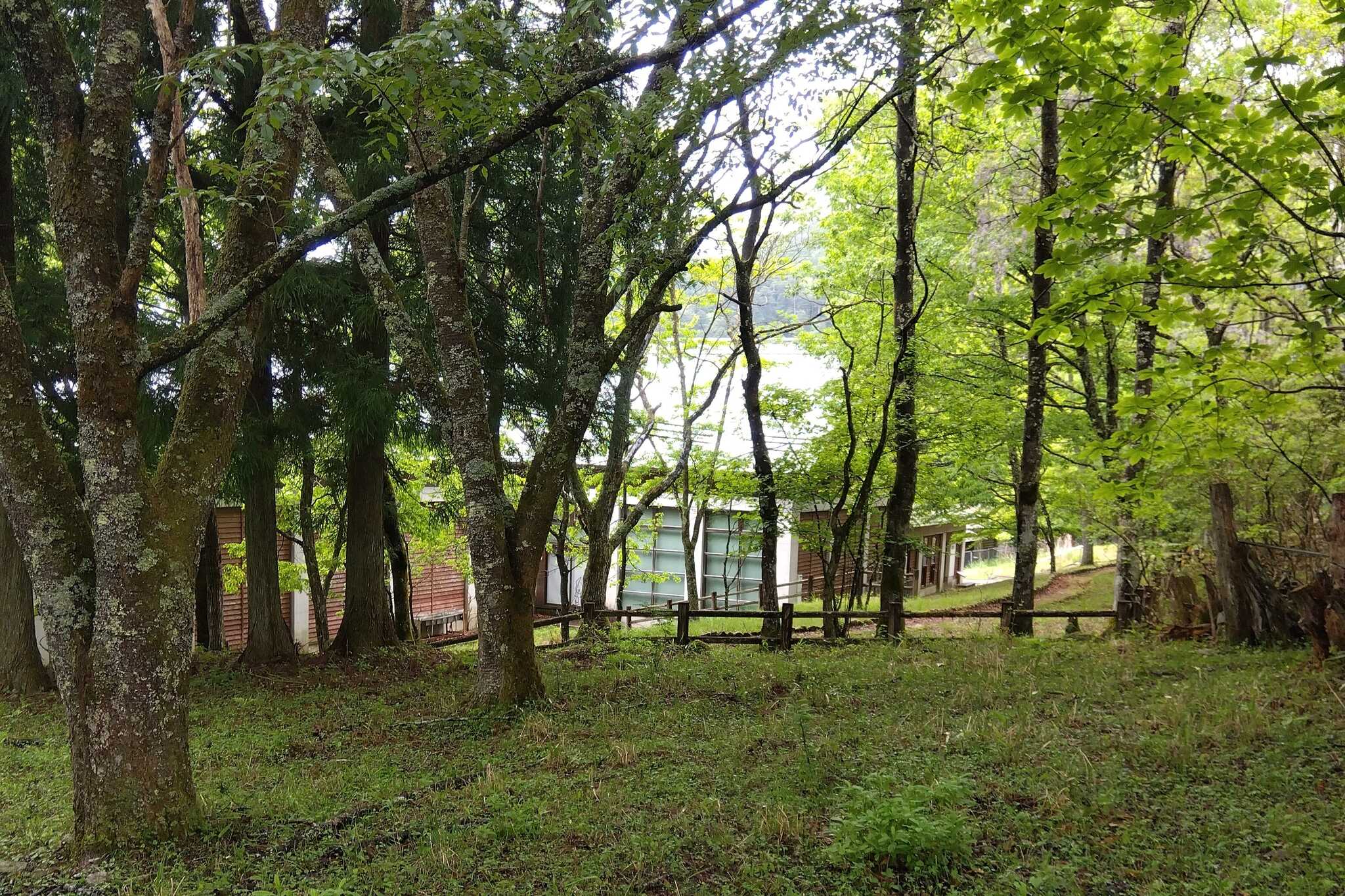 桝源フォレスト・イン洞川キャンプ場の写真 4枚目