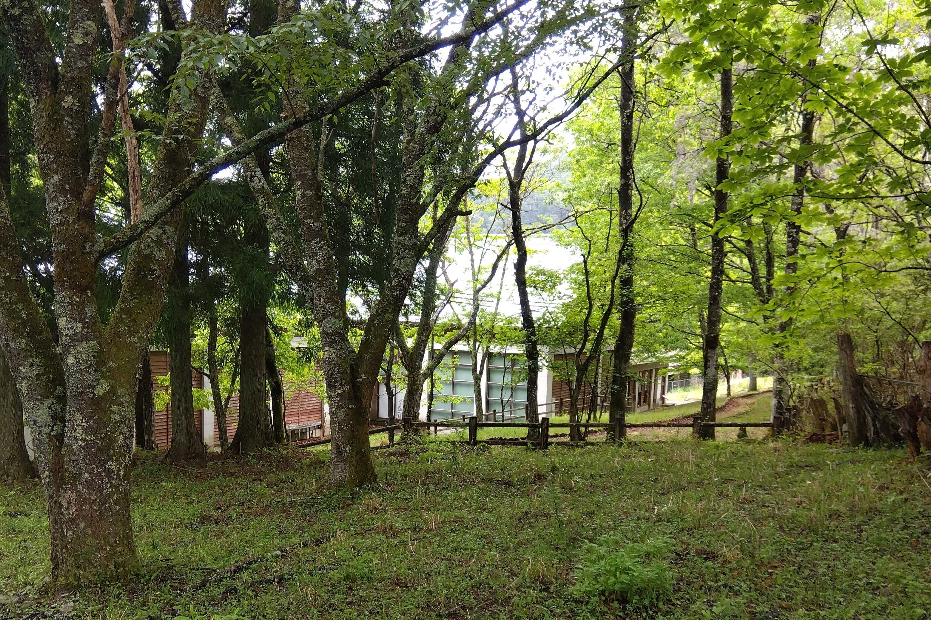 桝源フォレスト・イン洞川キャンプ場の写真 4枚目