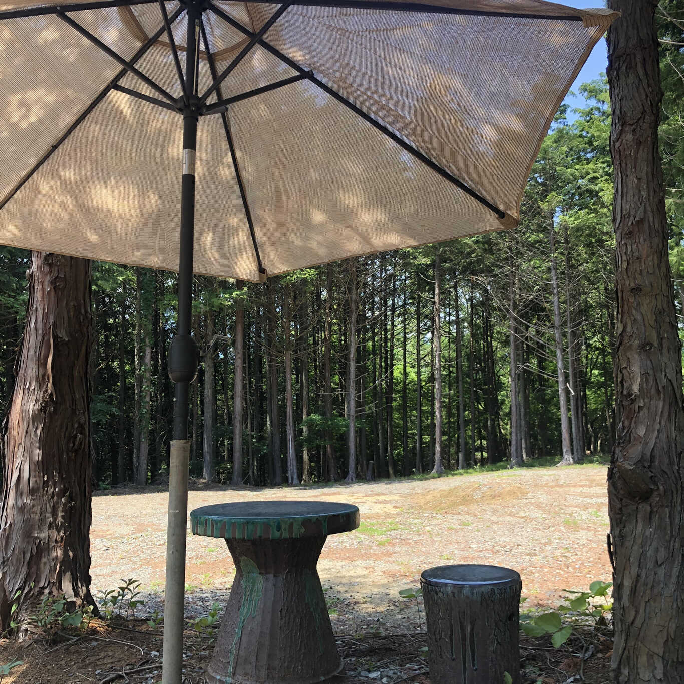 Hoshiakari Campfield photo 4