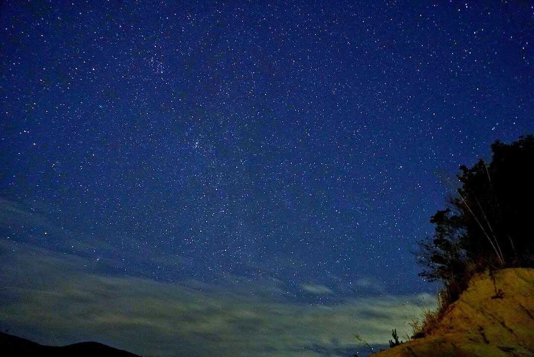 矢掛本陣憩いのキャンプ場の写真 1枚目