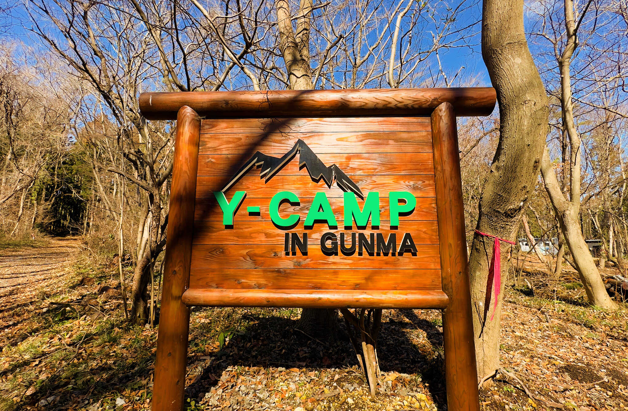 Y-CAMP