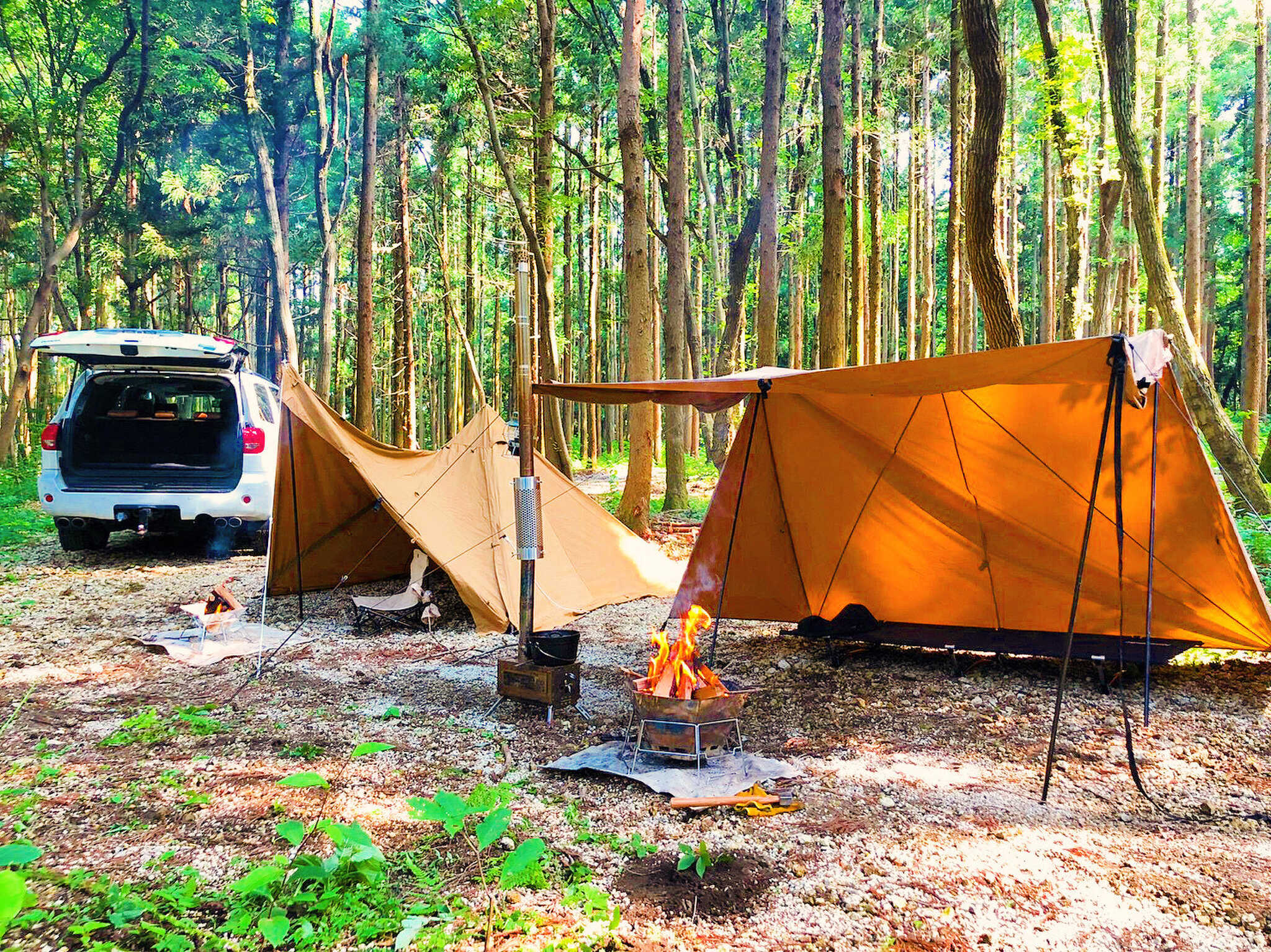 Y-CAMPの写真 1枚目