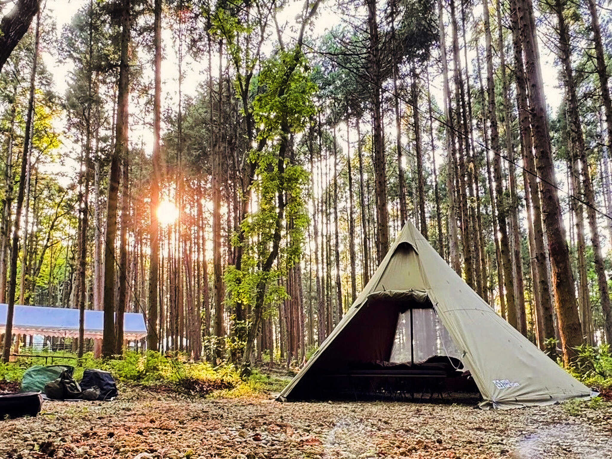 Y-CAMPの写真 3枚目