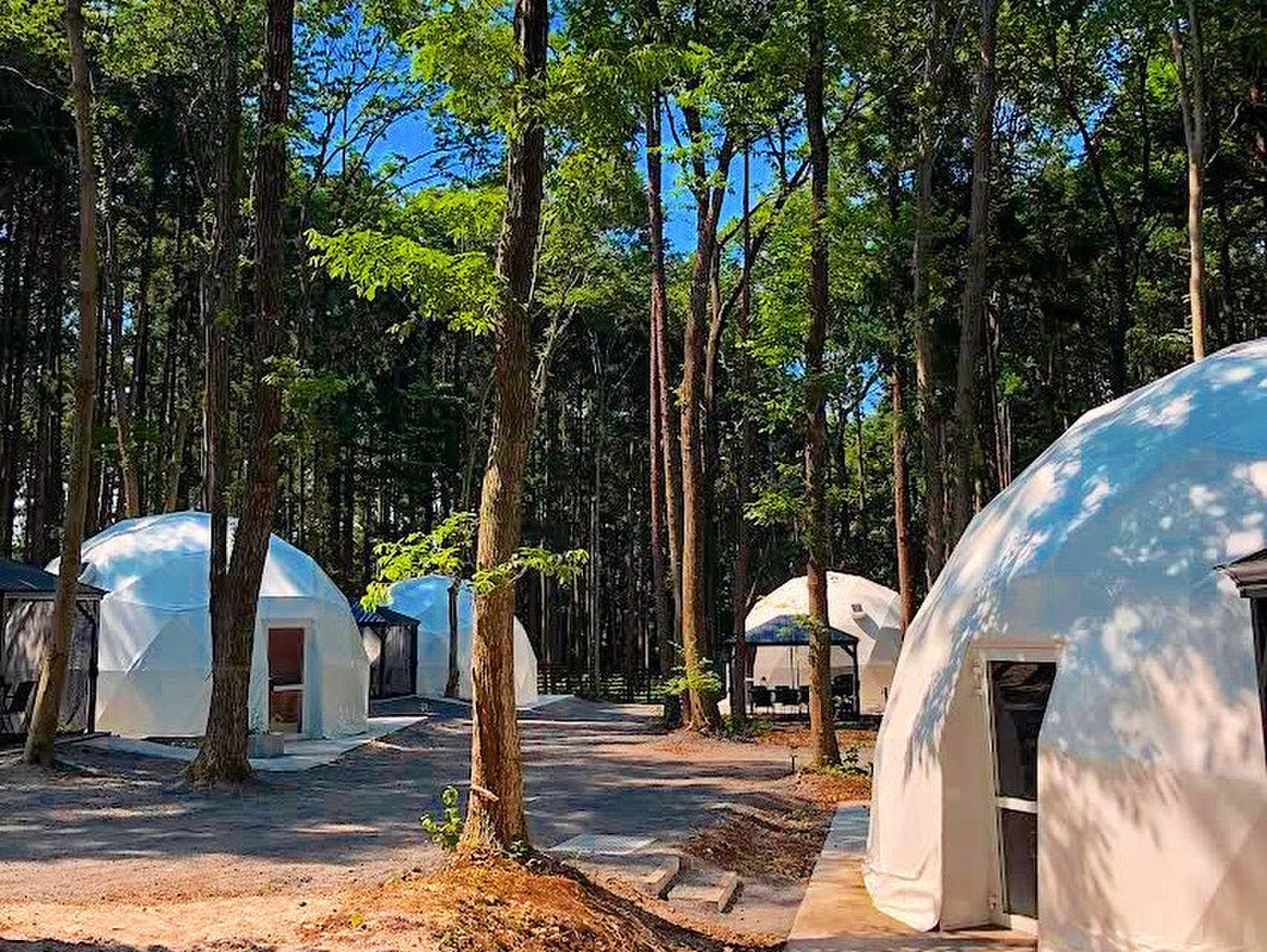 Y-CAMPの写真 5枚目