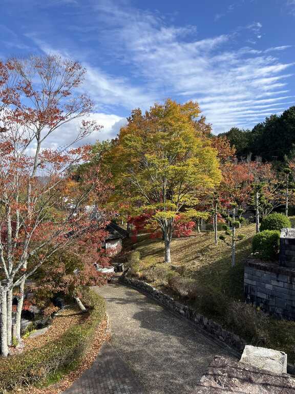 じゅらくの里キャンプ場 photo 2