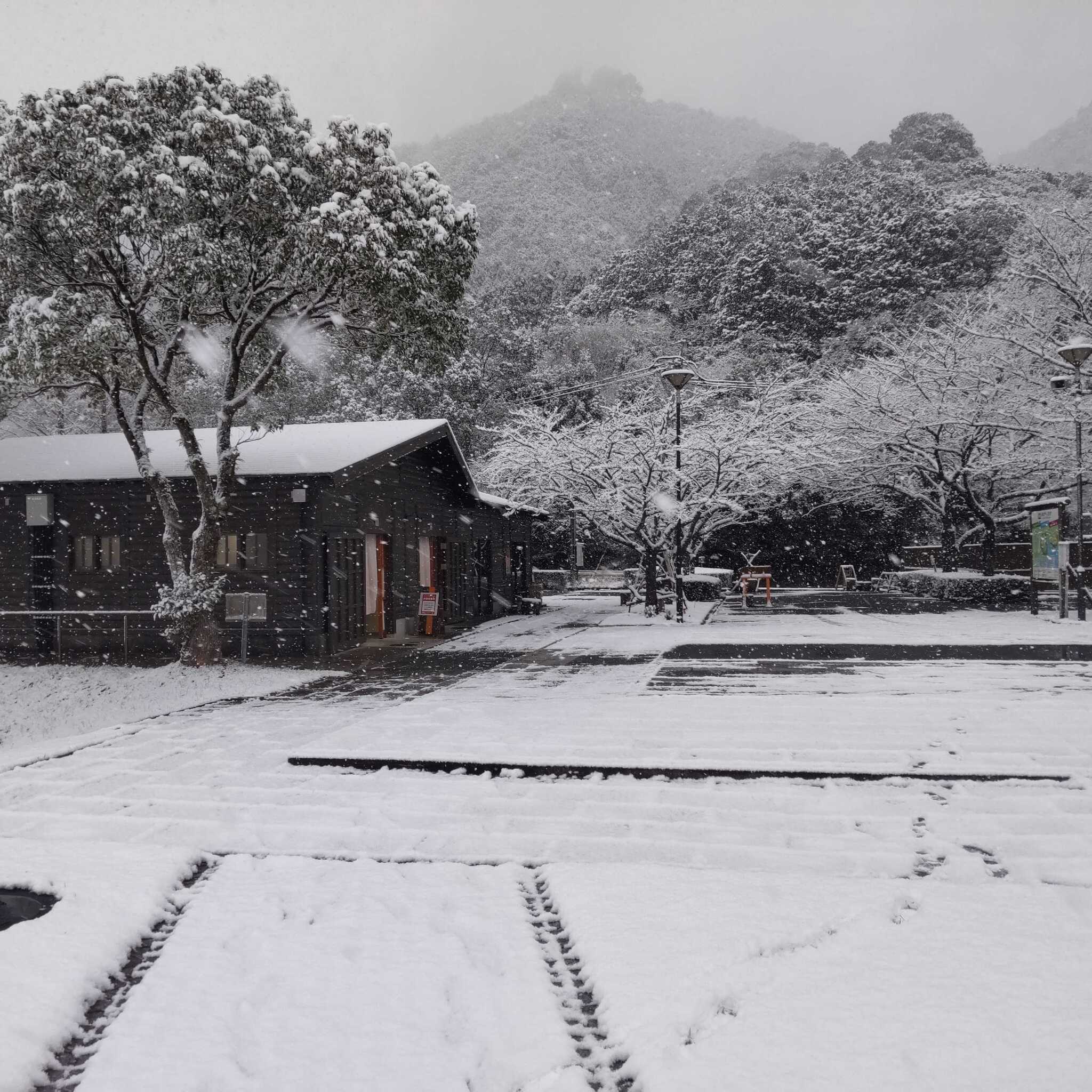 冬には雪中キャンプも楽しめます。