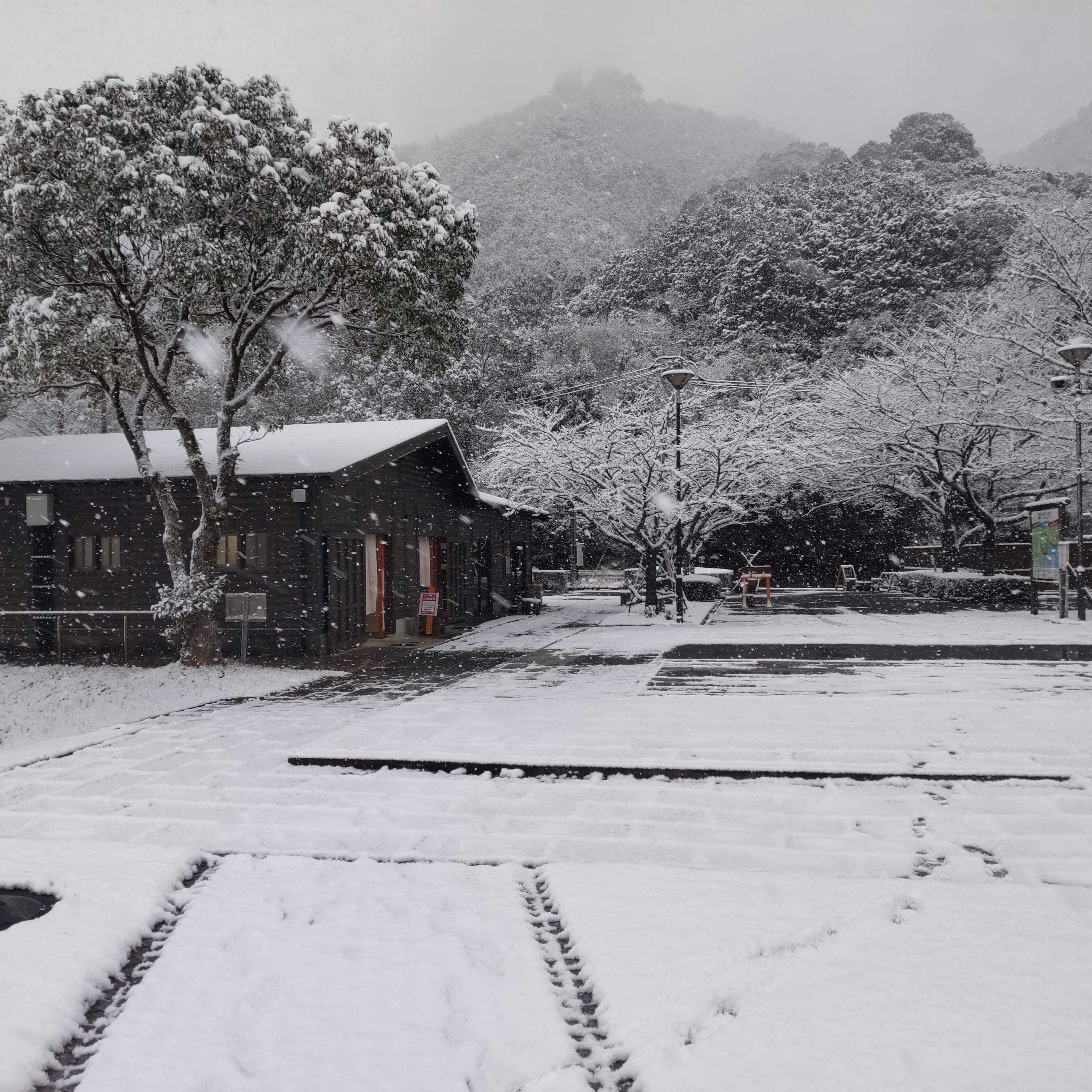 冬には雪中キャンプも楽しめます。