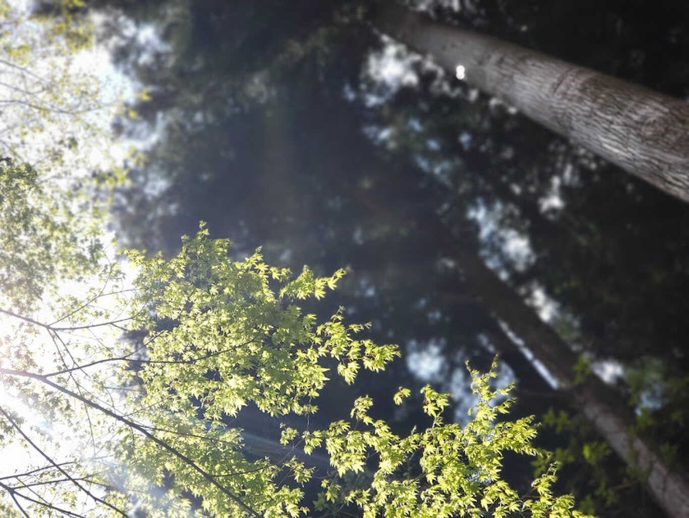 隠宿御杖sachi庵 photo 4