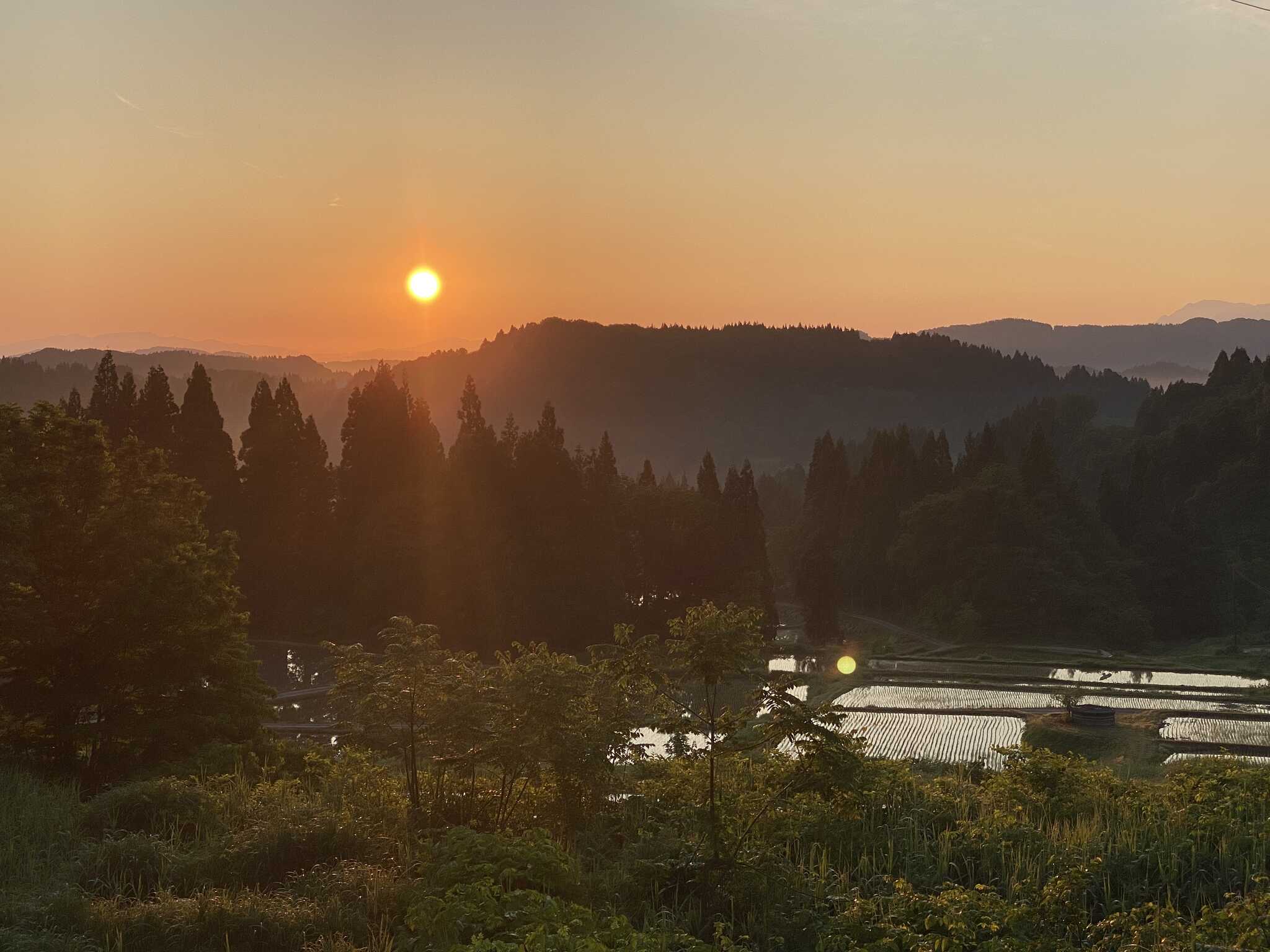 SUN-RISE 茶倉
