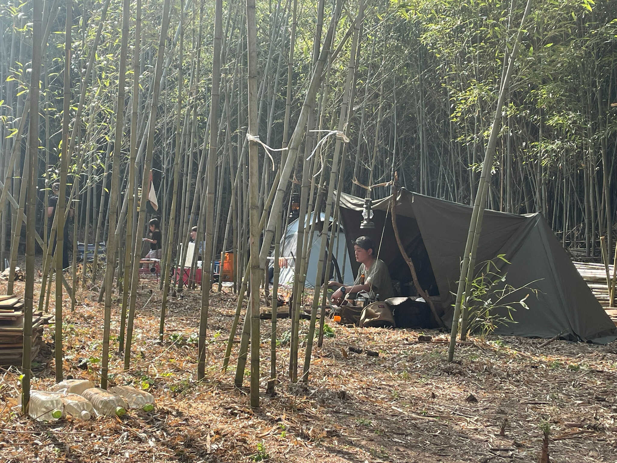 Forest Lifeの写真 4枚目